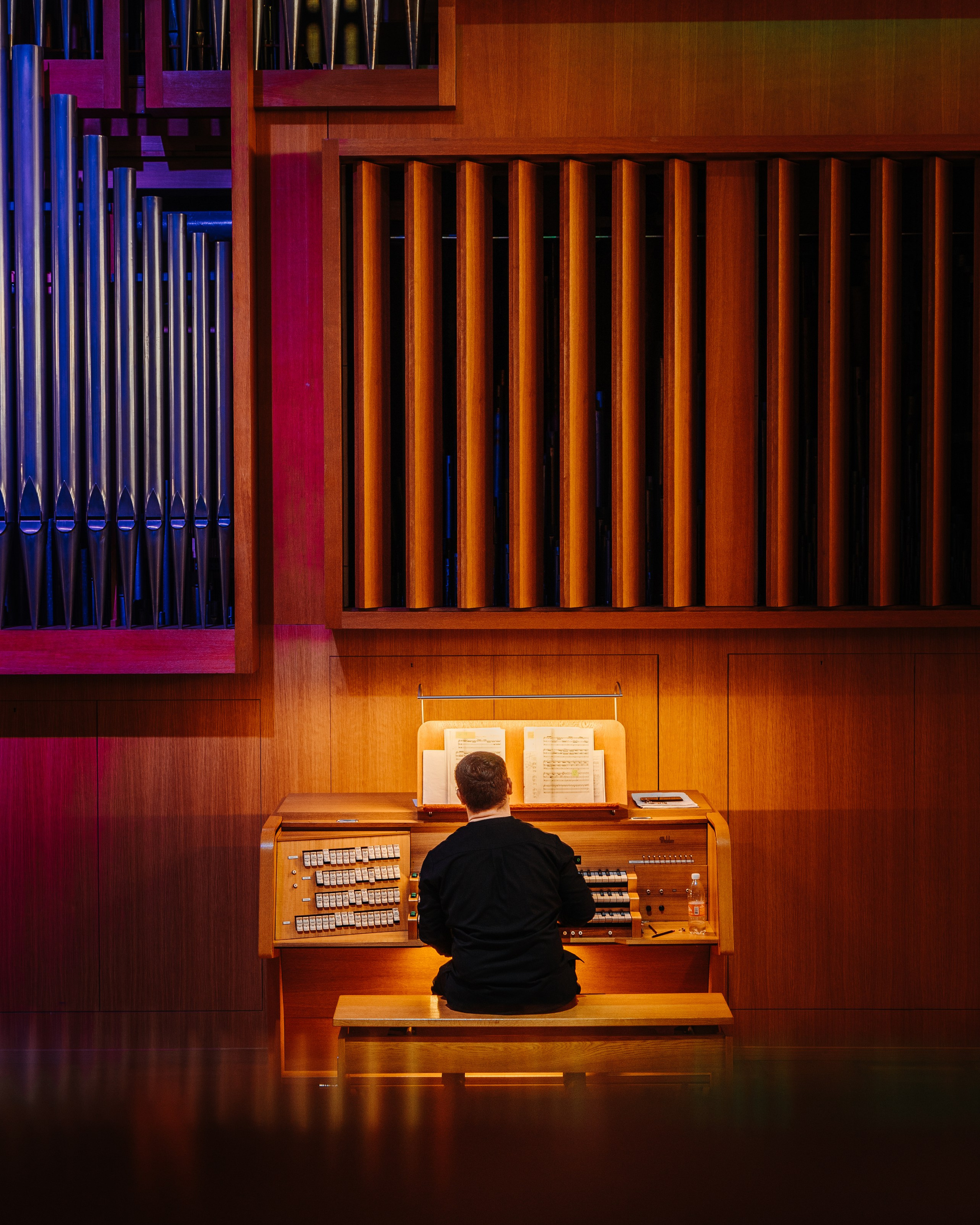 Органист Тимур Карданов