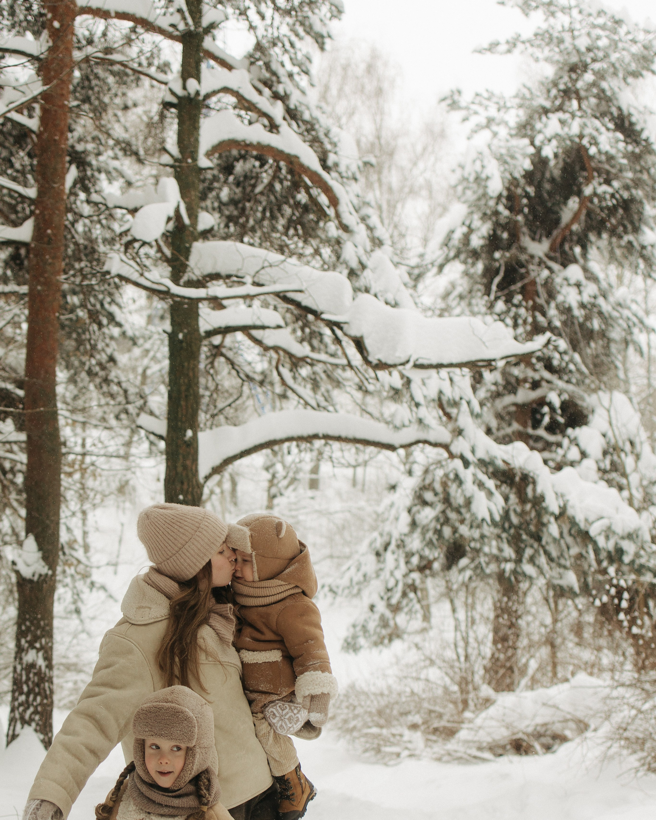 Снежный лес