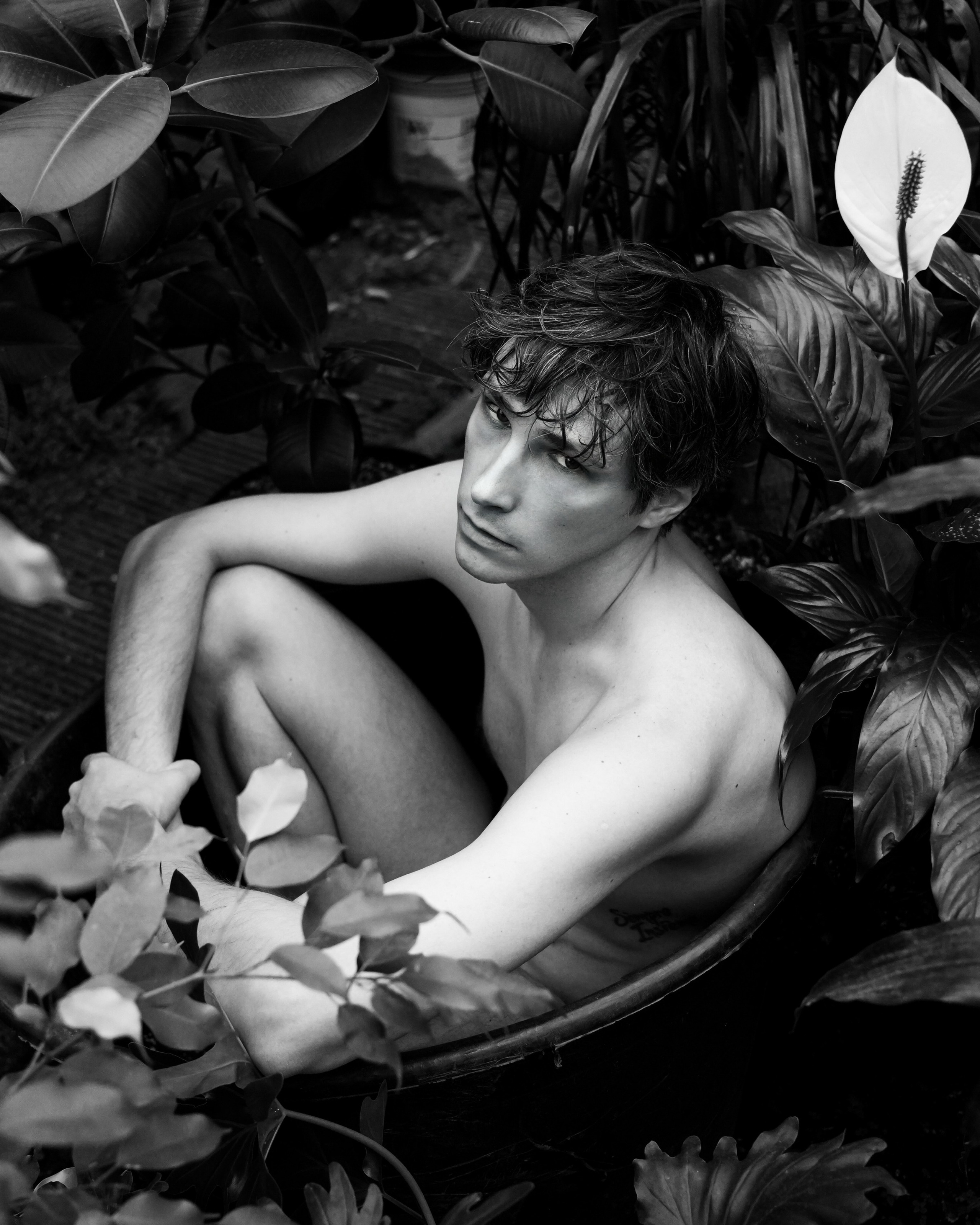 Фотосессия в оранжерее