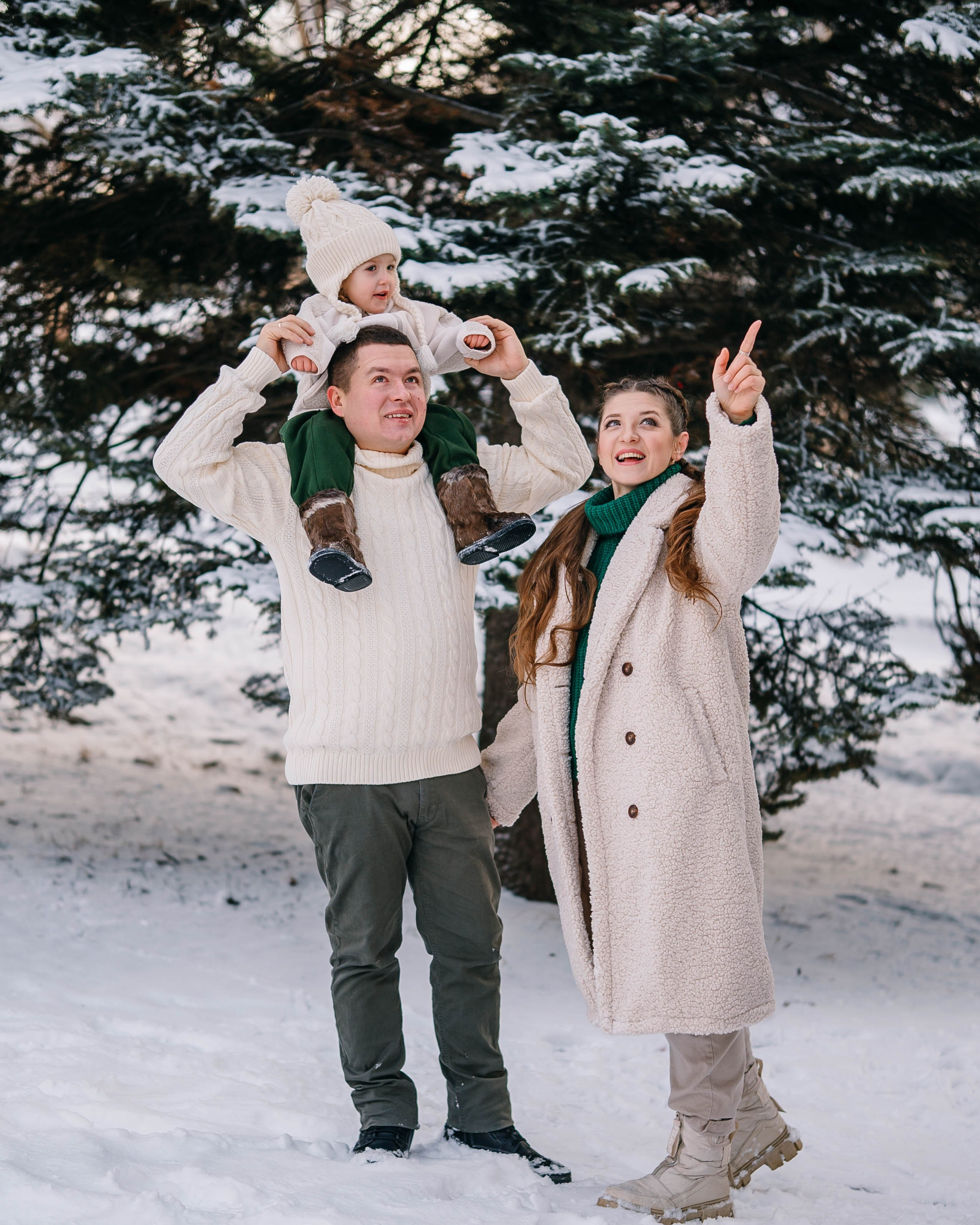 Зимняя сказка в Сосновом лесу