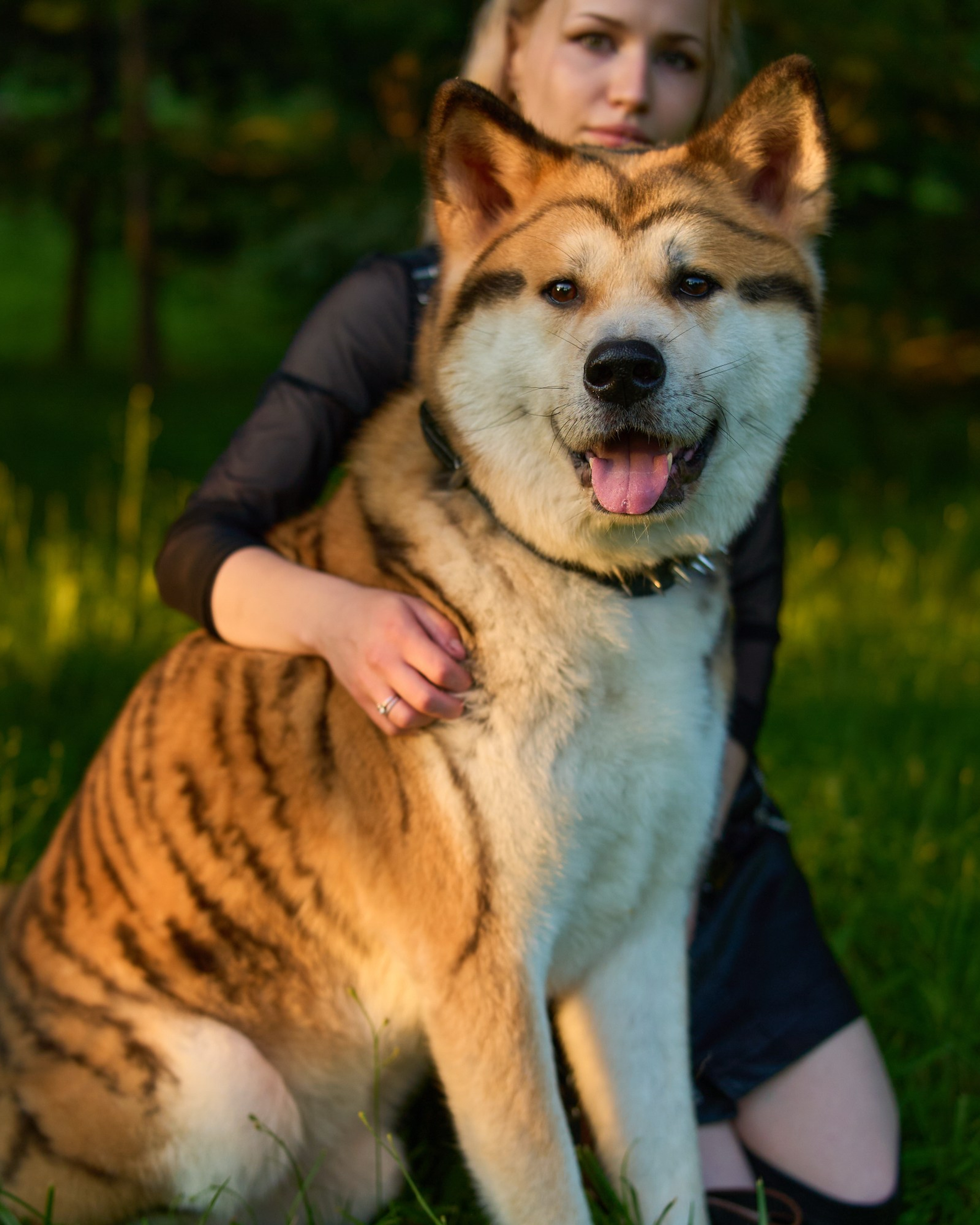 Летняя фотосессия с&nbsp;девушкой и&nbsp;акита-ину в&nbsp;Комсомольском парке