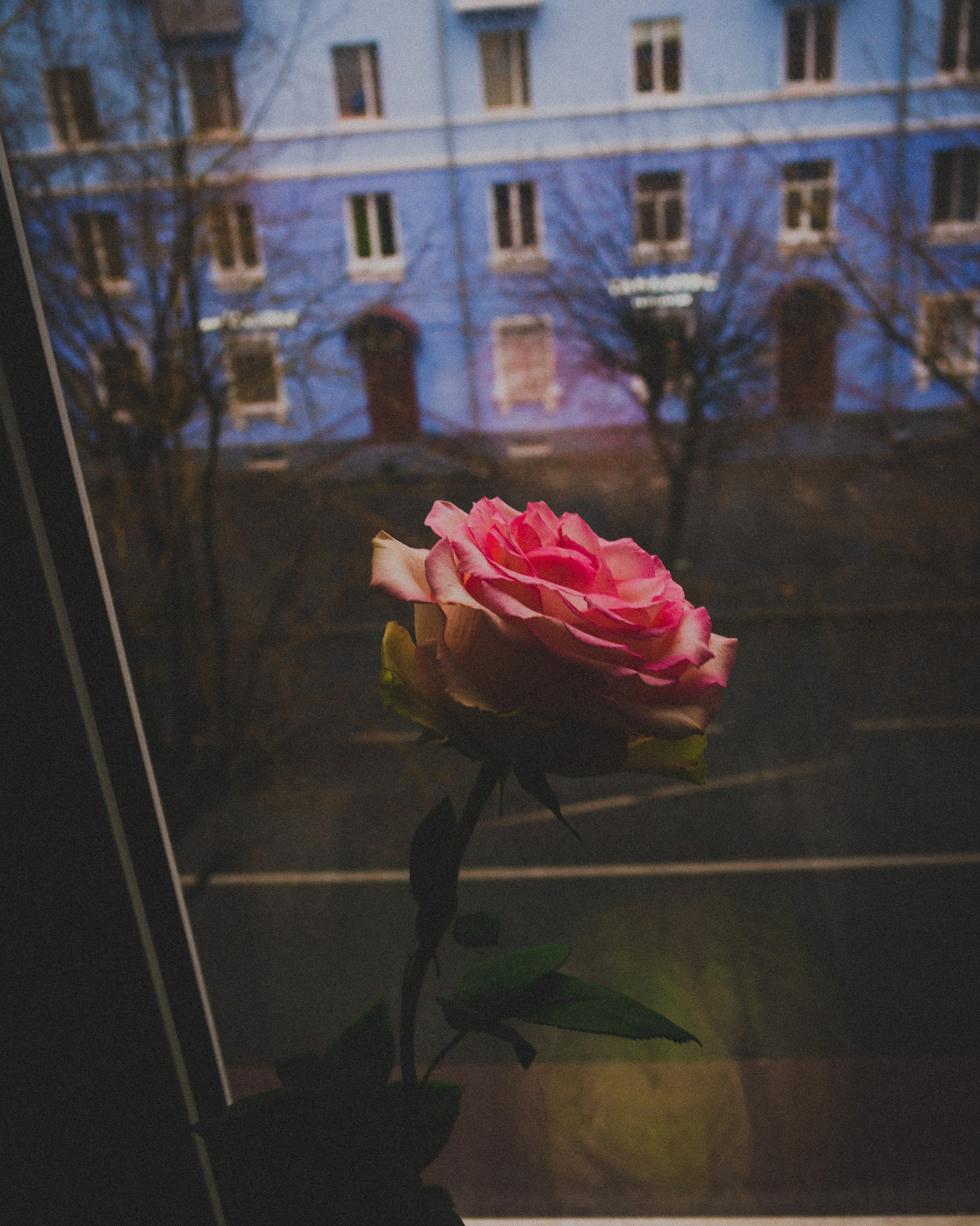 Встреча двух поэтов