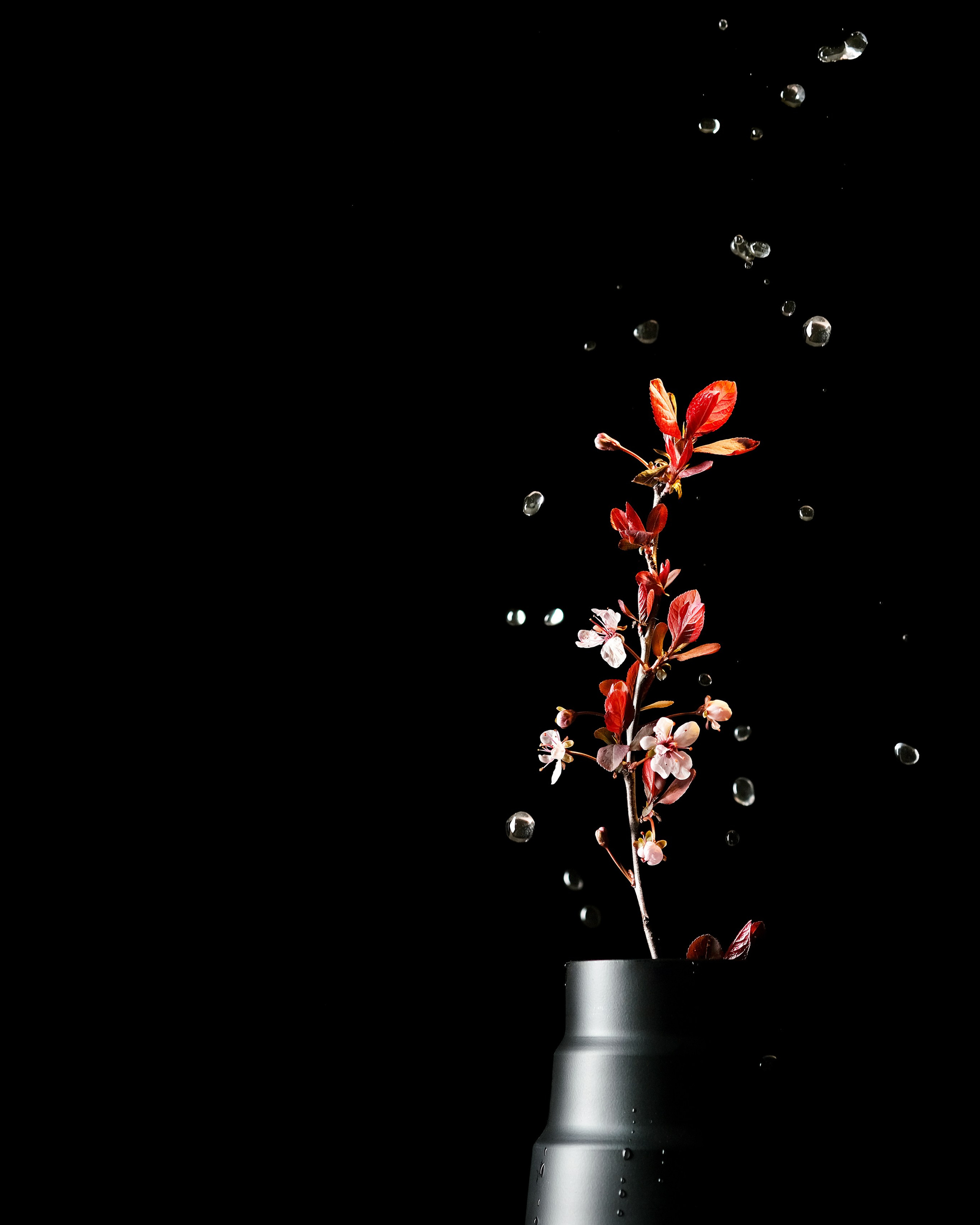 Съемка со спецэффектами