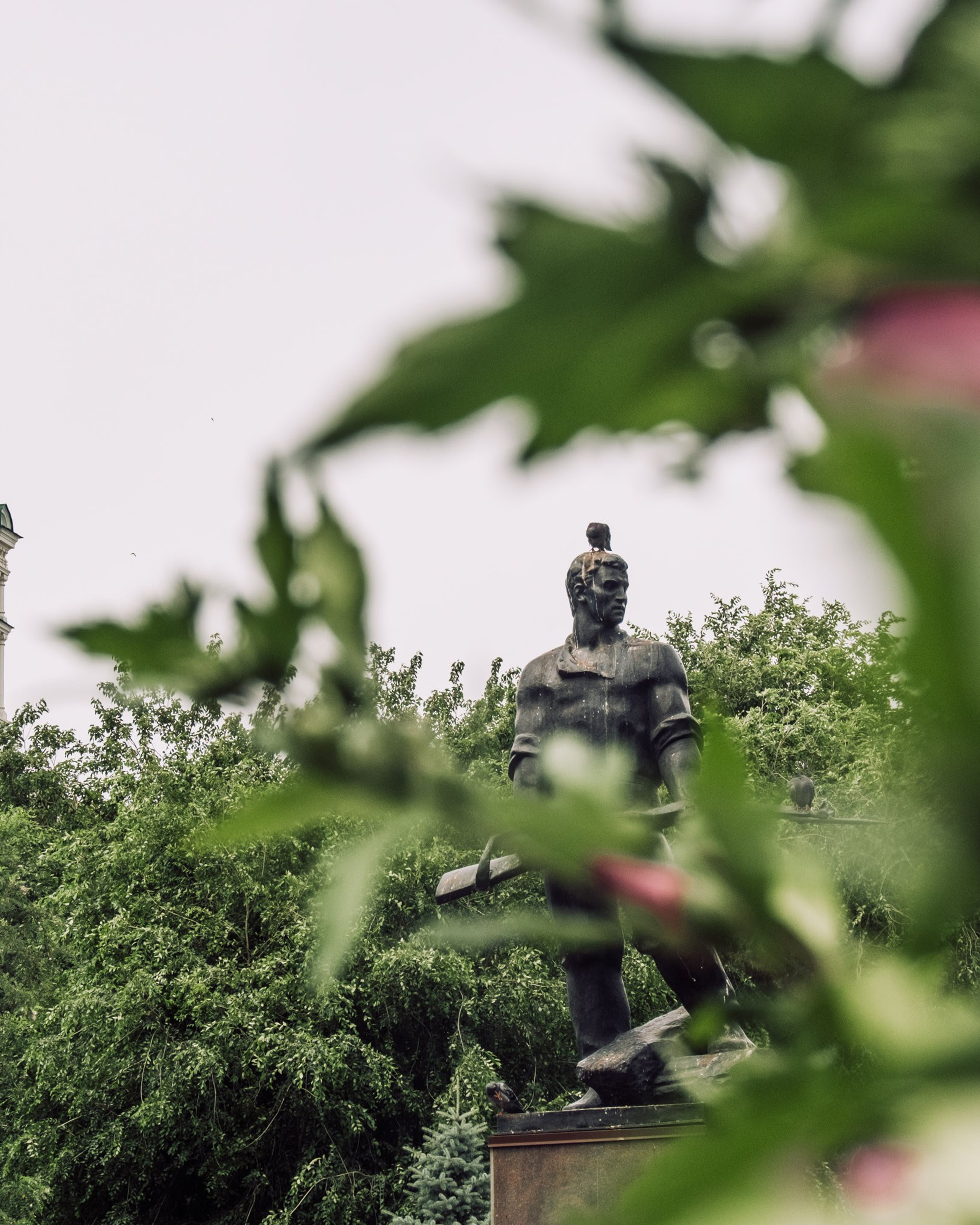 Братский сад