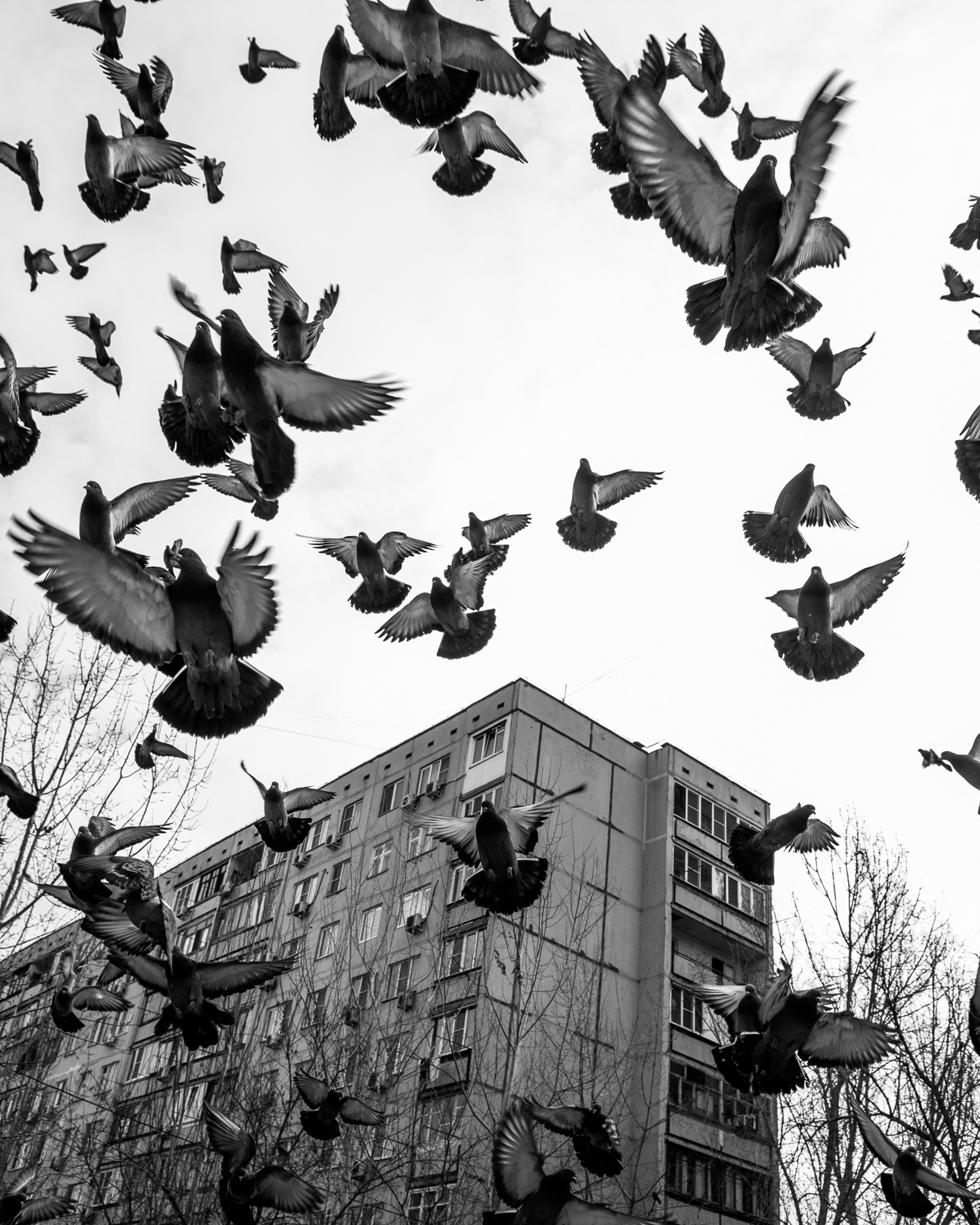 3 Юго-восток