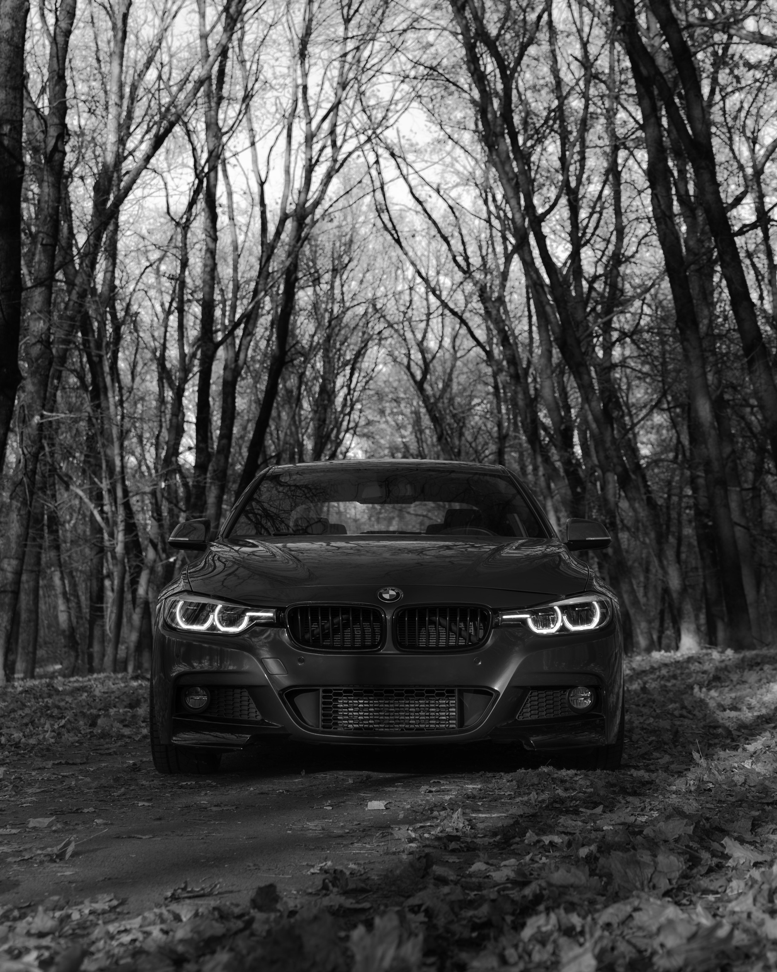 //4Series / MaxBotov