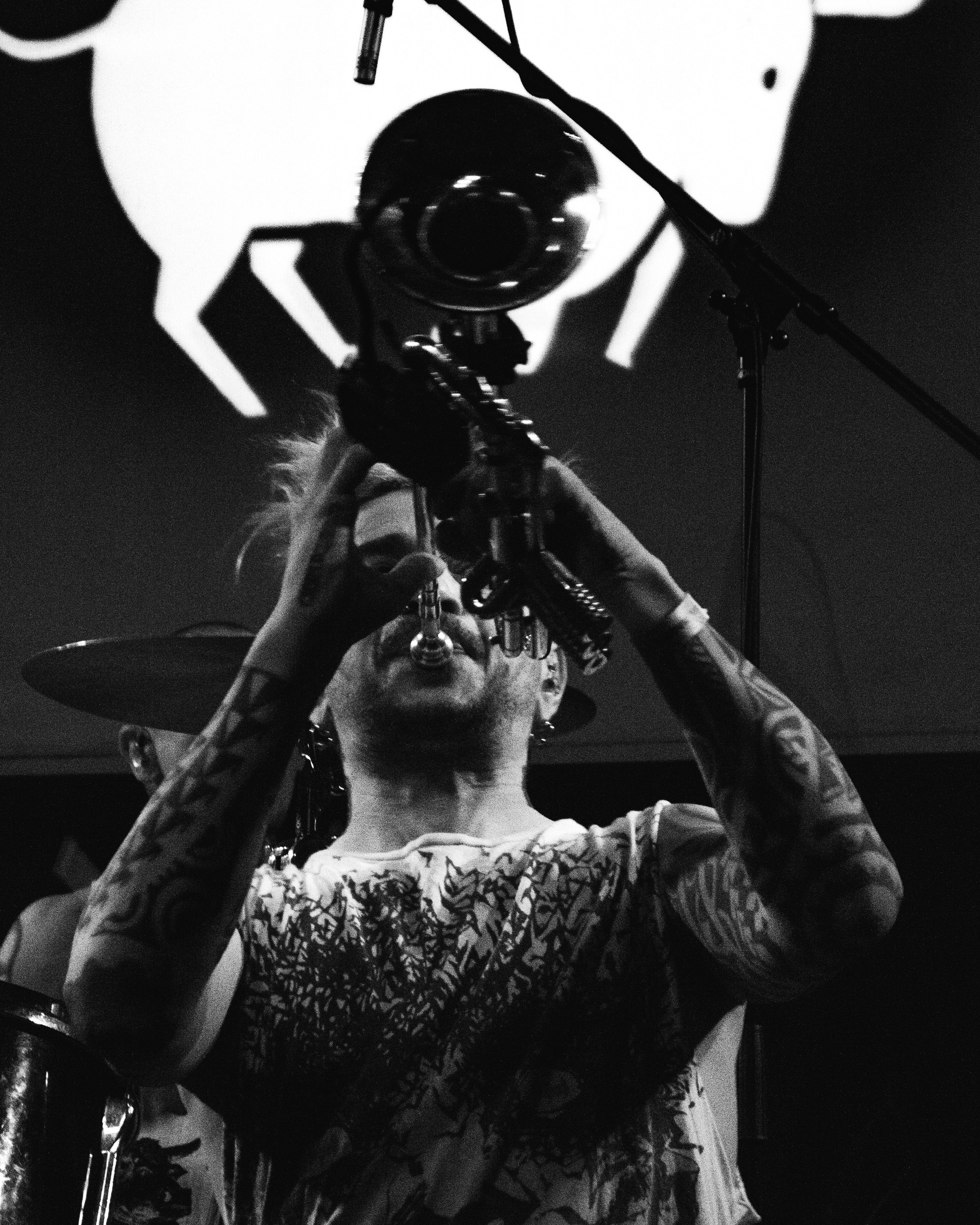 СКОТЫ | 11.12.2024 | ЛАСТОЧКА