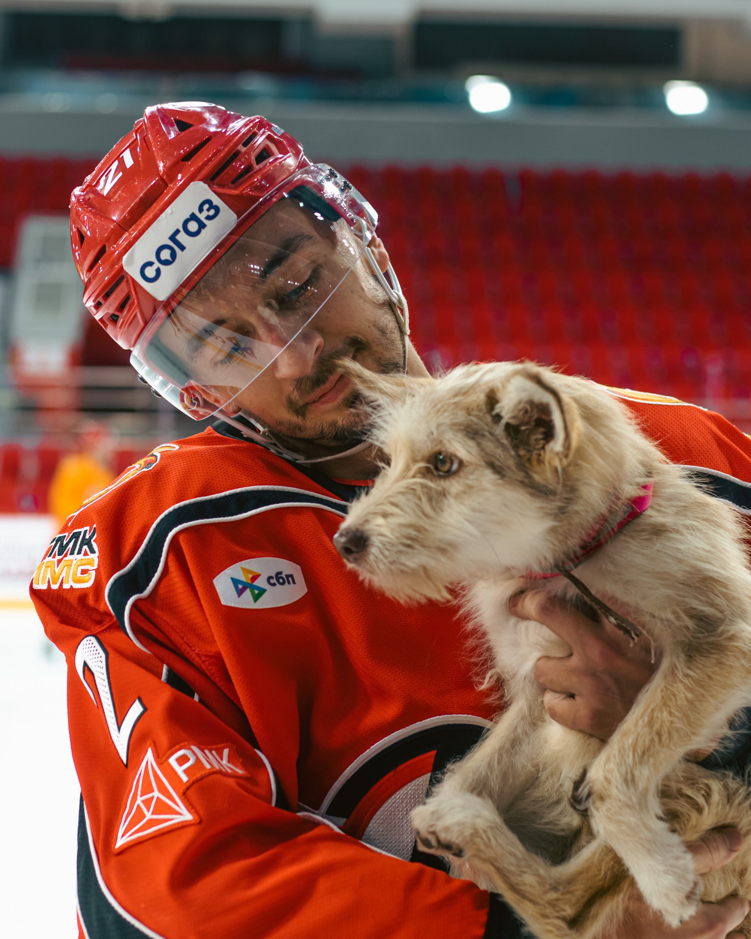 ПУШИСТЫЙ МАТЧ