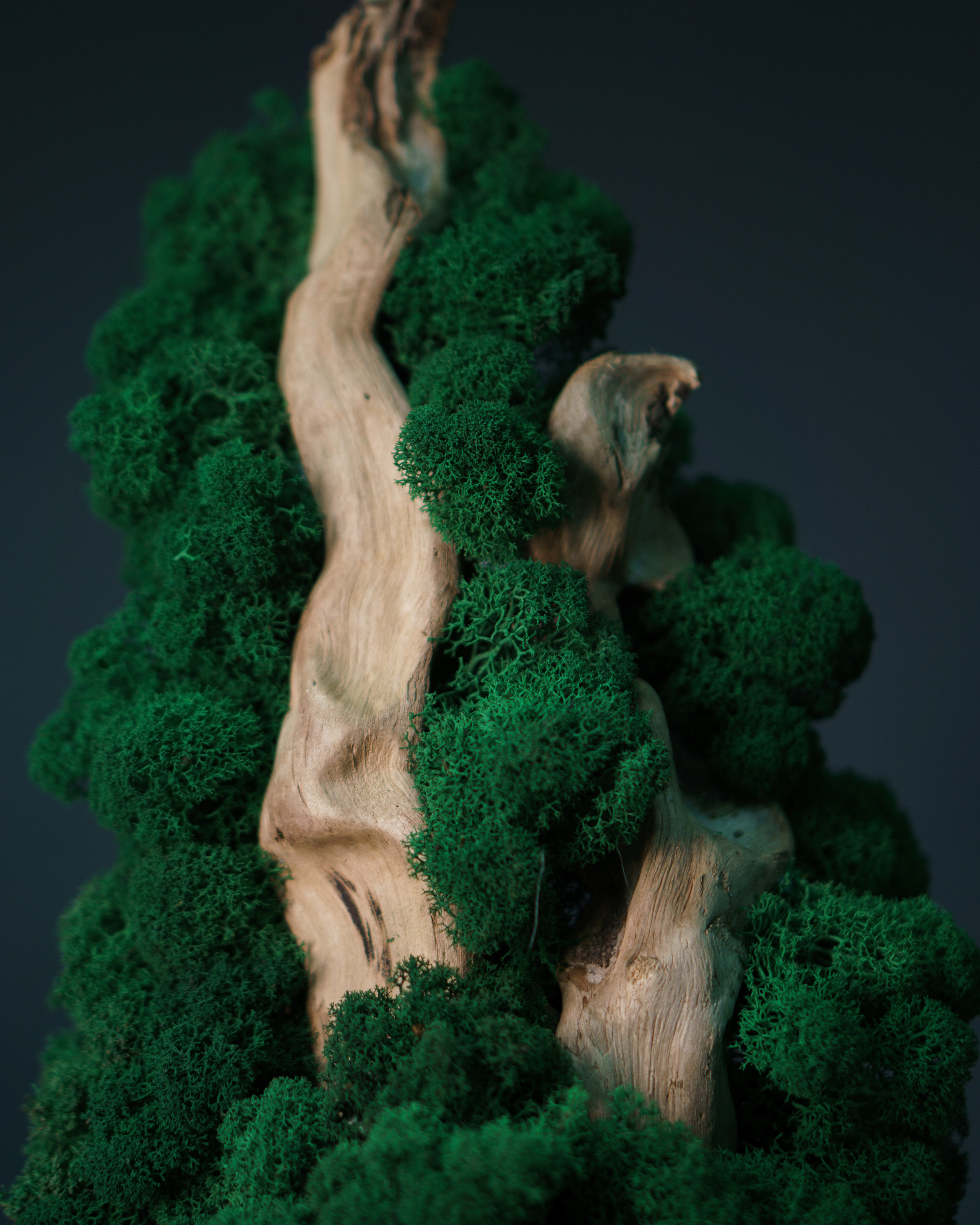 Предметная съёмка (съёмка для маркетплейса)