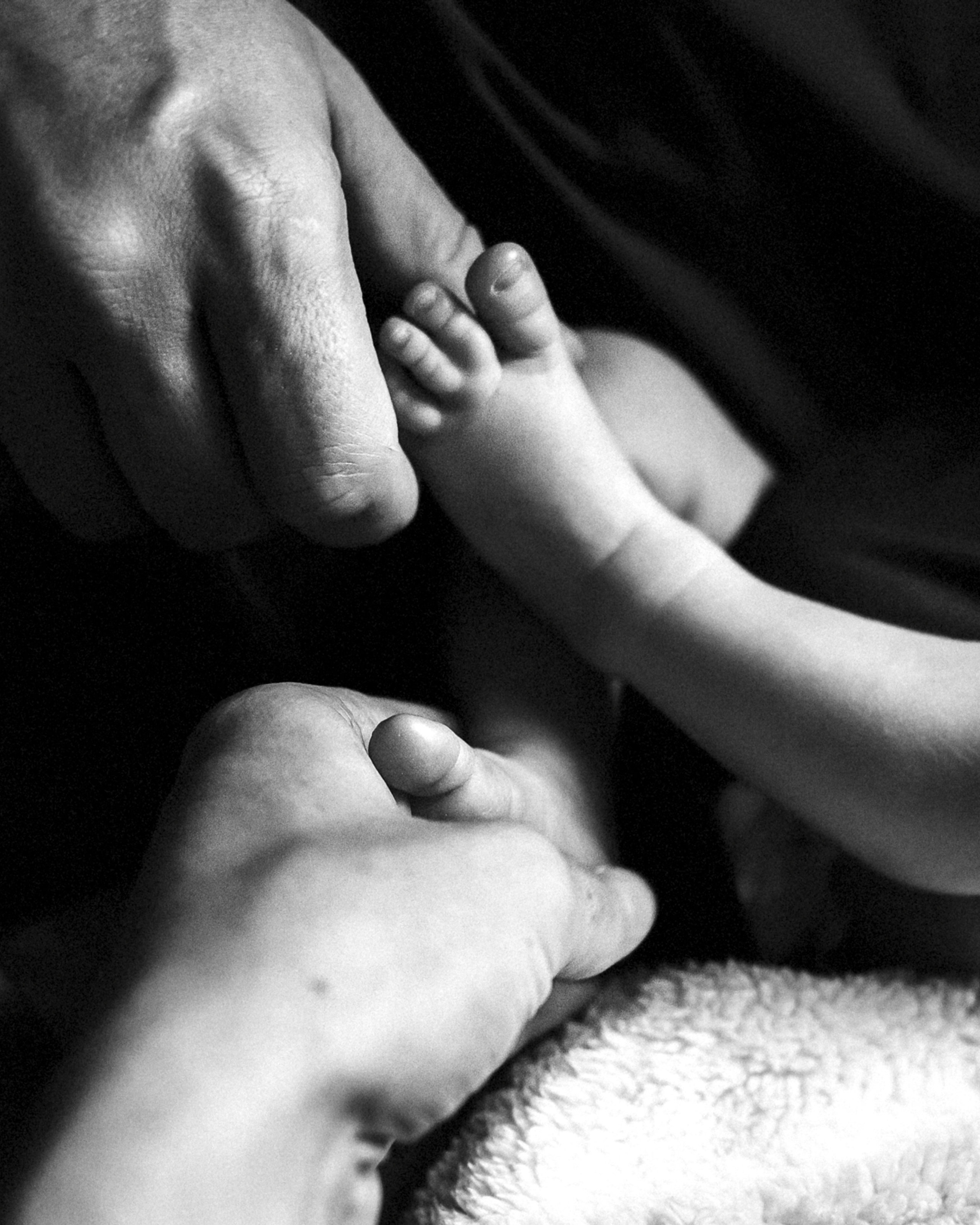 Маленький Лев