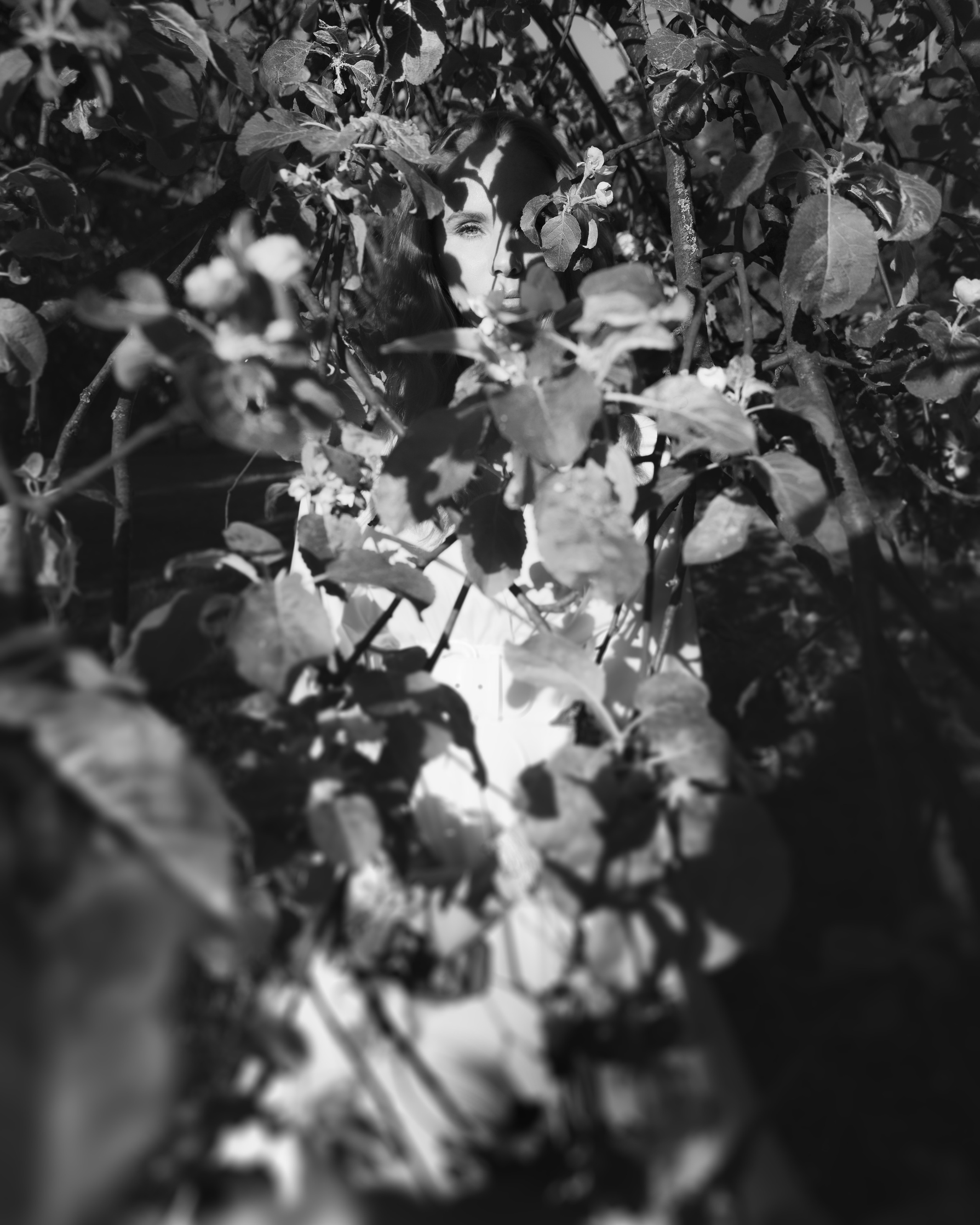 Весна на пороге лета