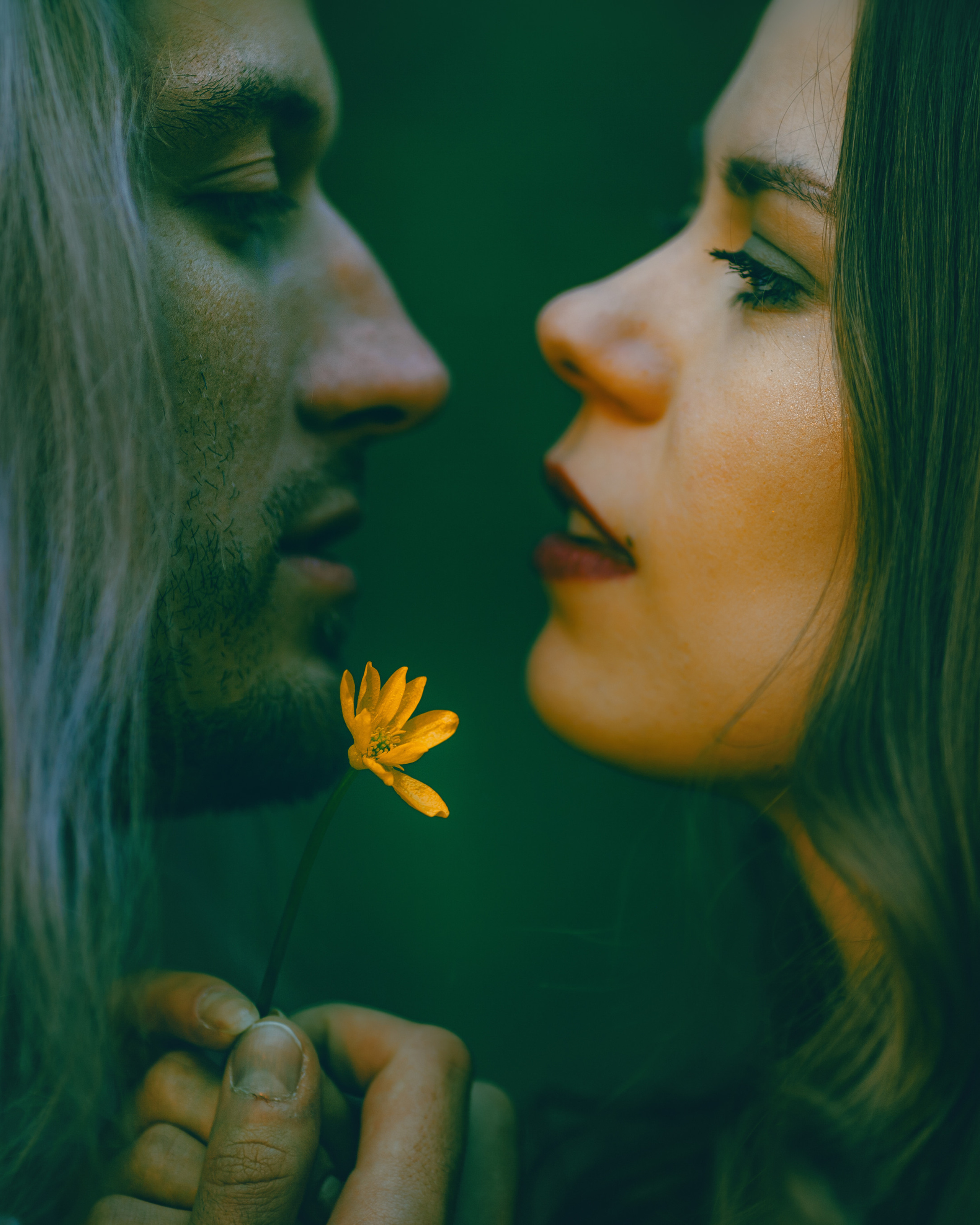 fleur. histoire d'amour