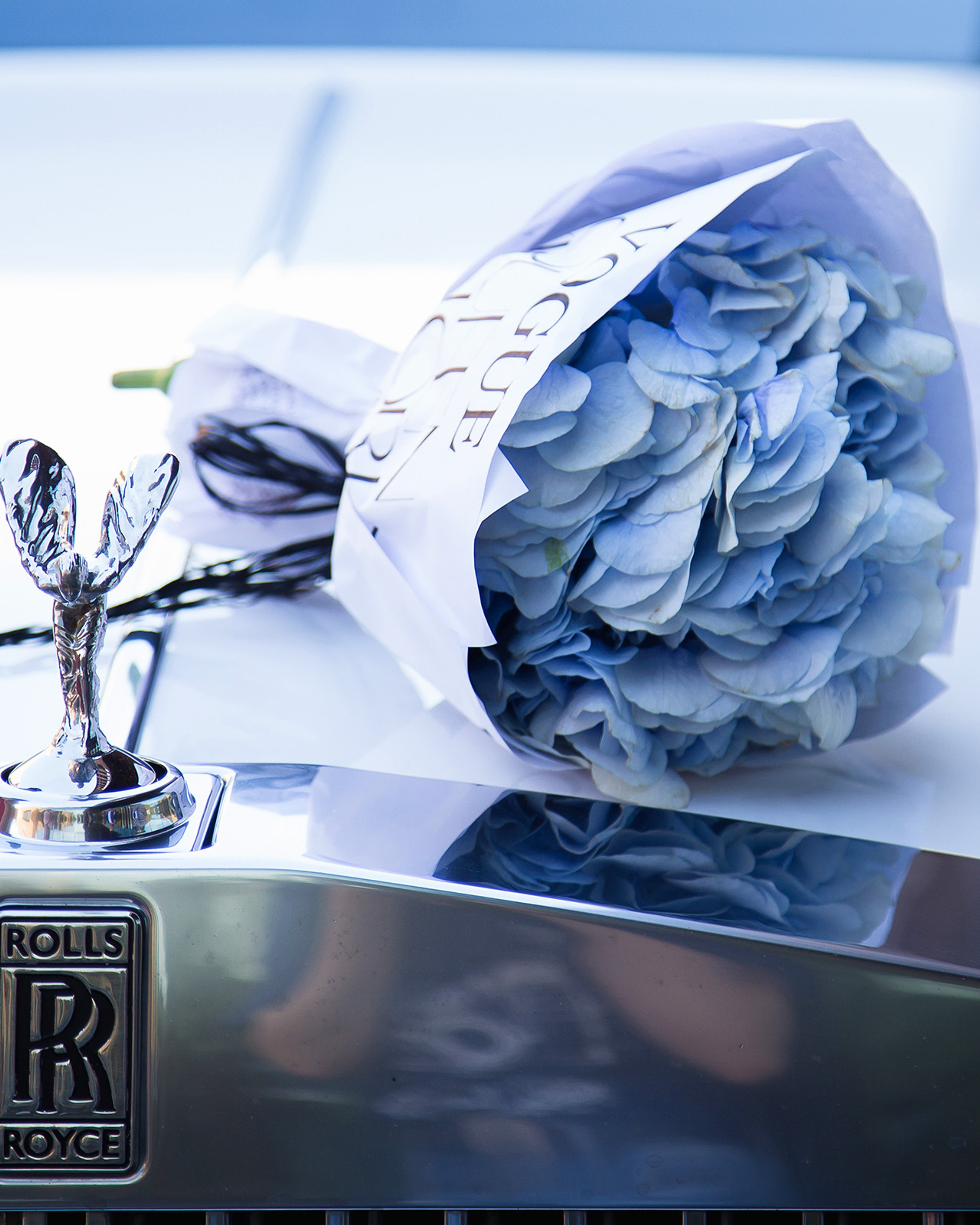 Алексей и Кристина