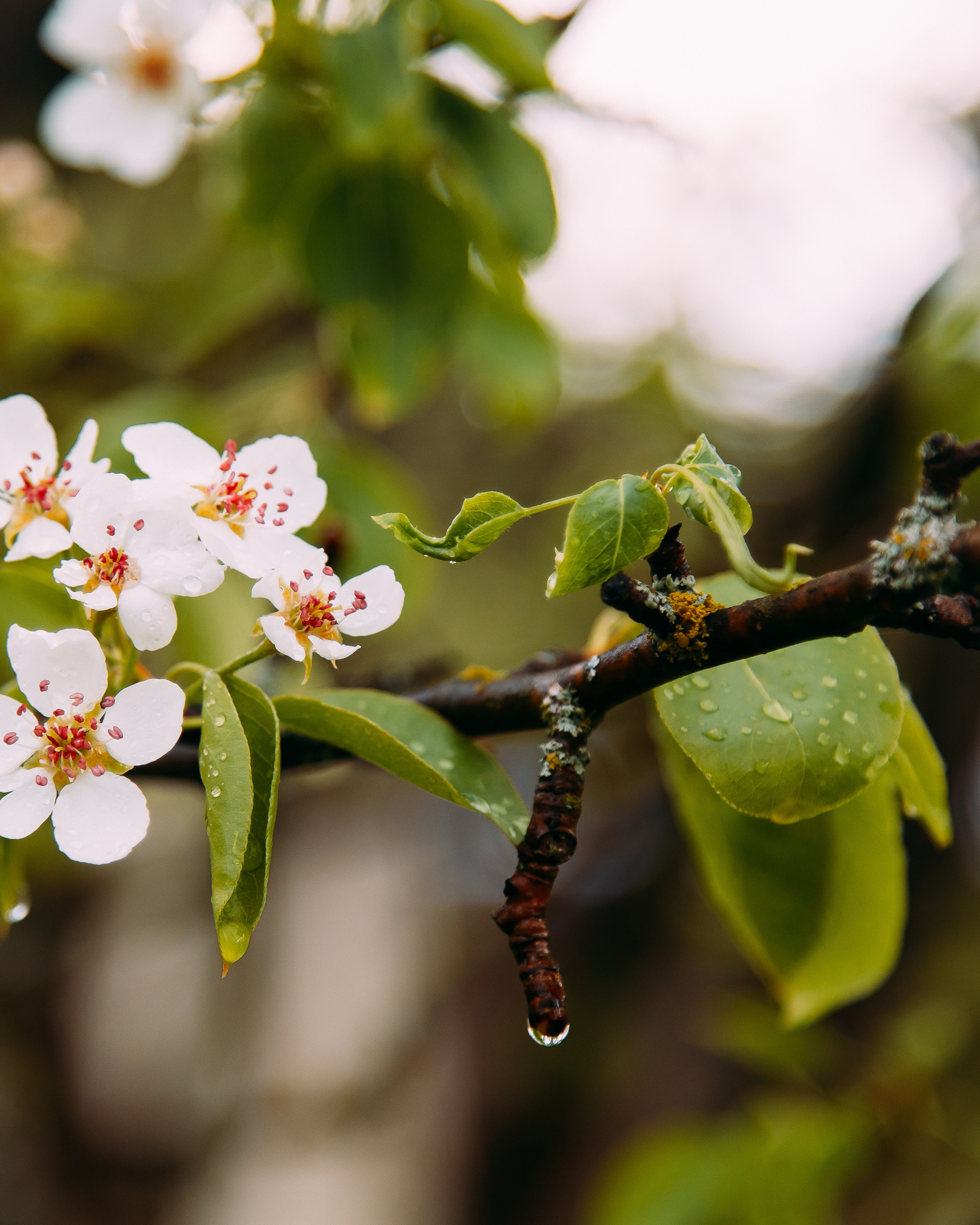 Пираты бури не боятся