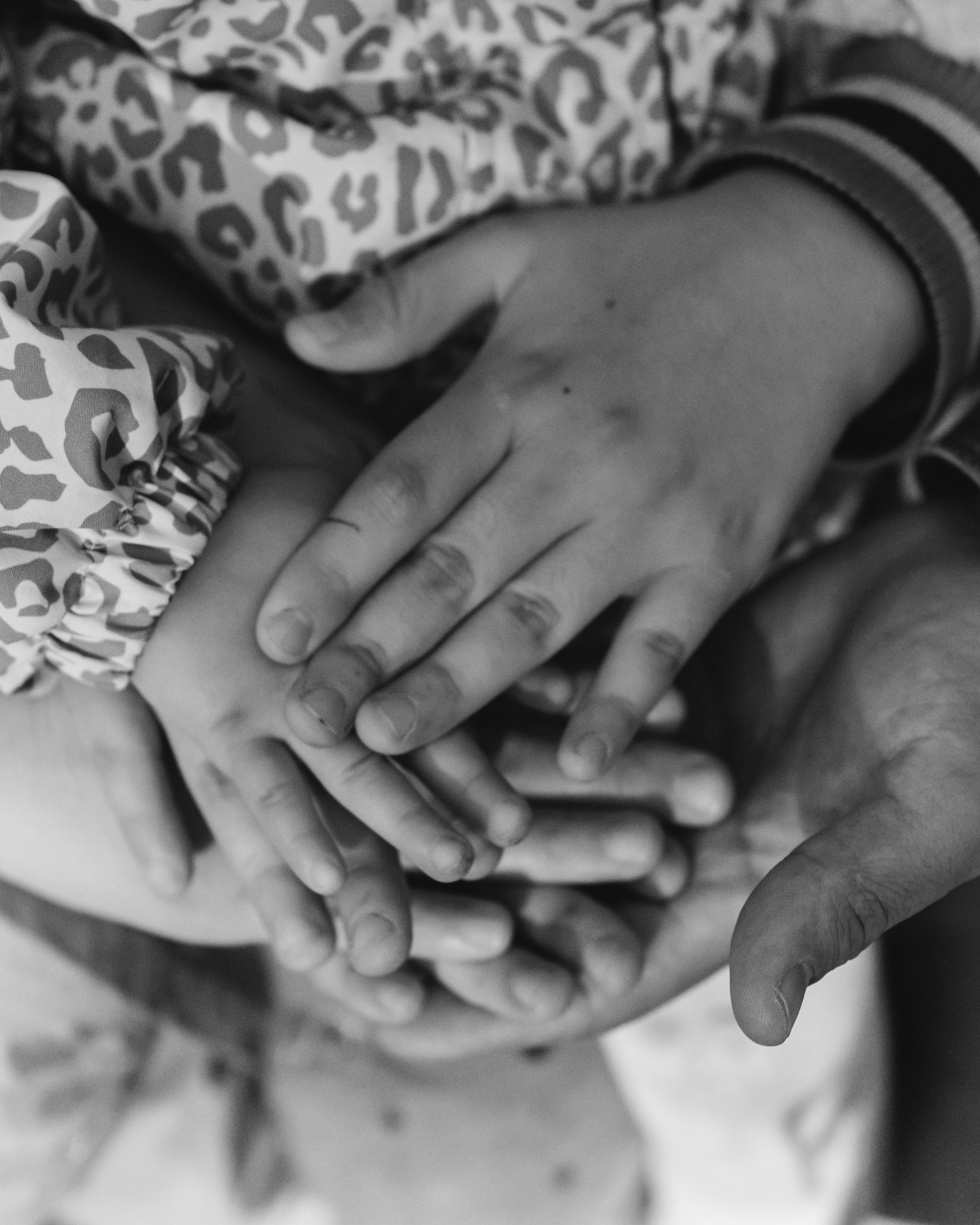 Большая семья — гордость!