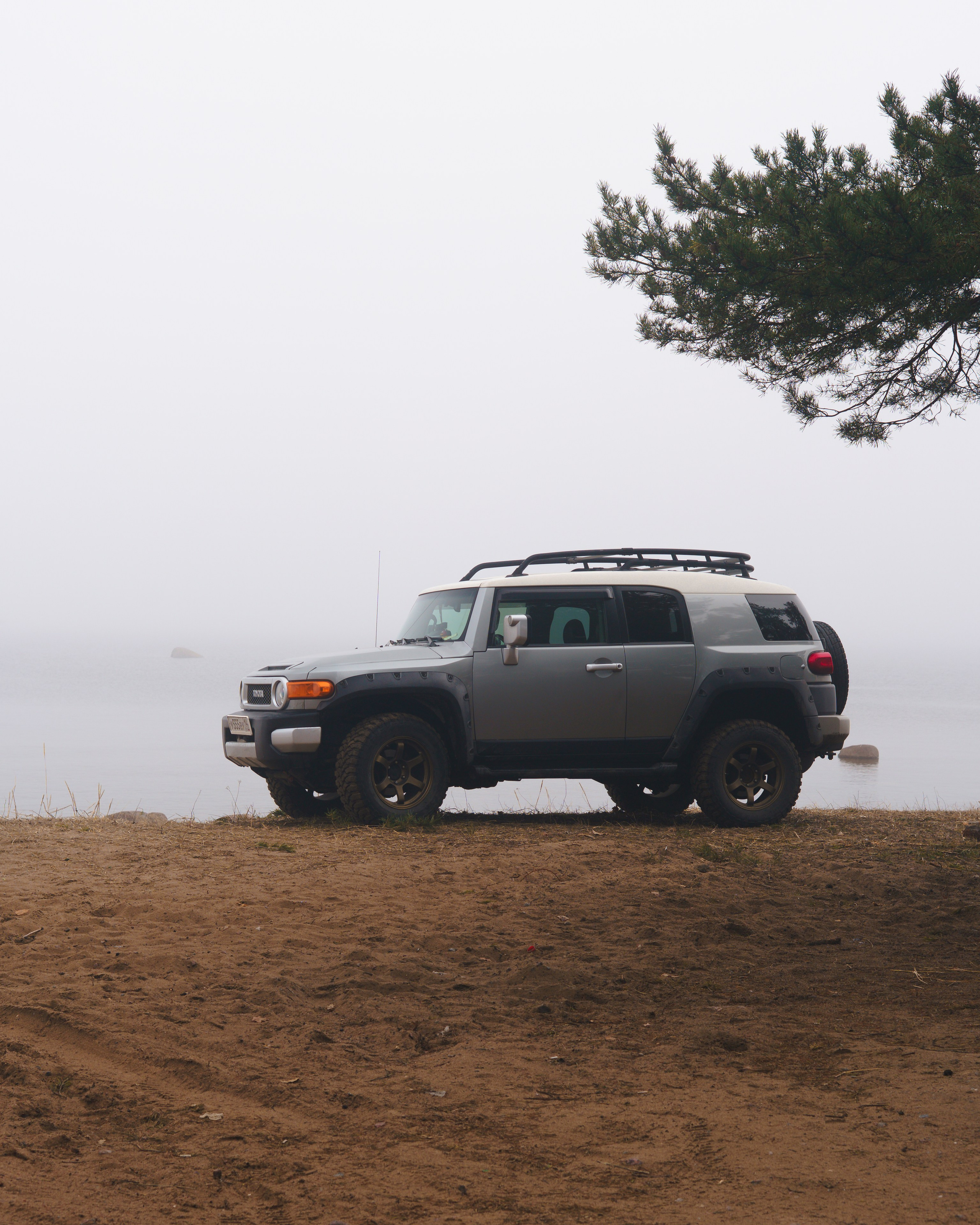 TOYOTA FJ Cruiser / Виктор