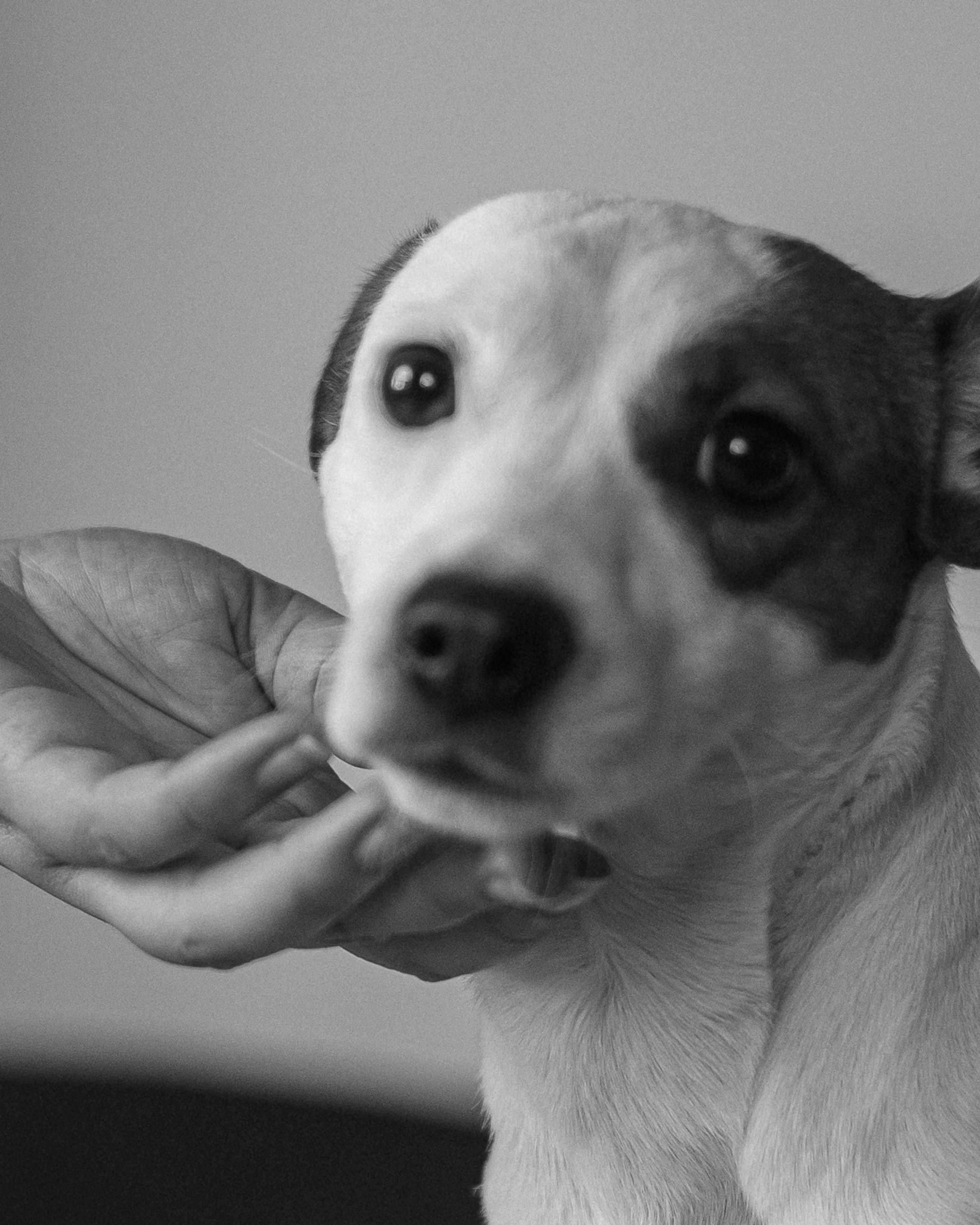 Дарья Разон