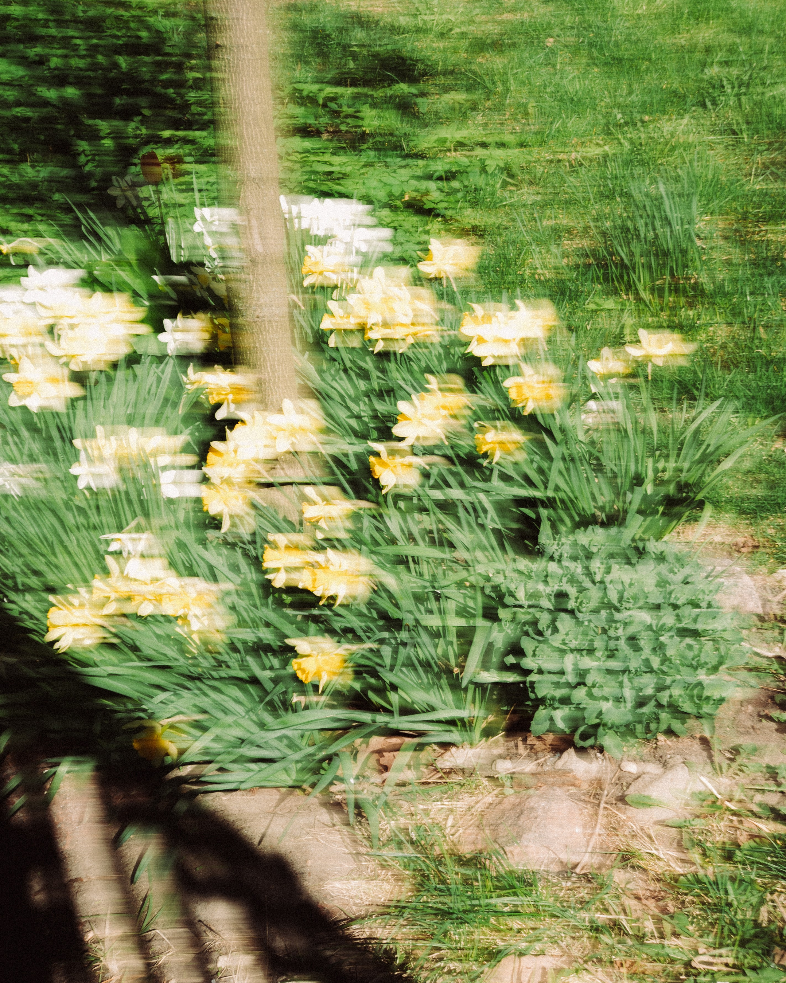 i rinko kawauchi M/E