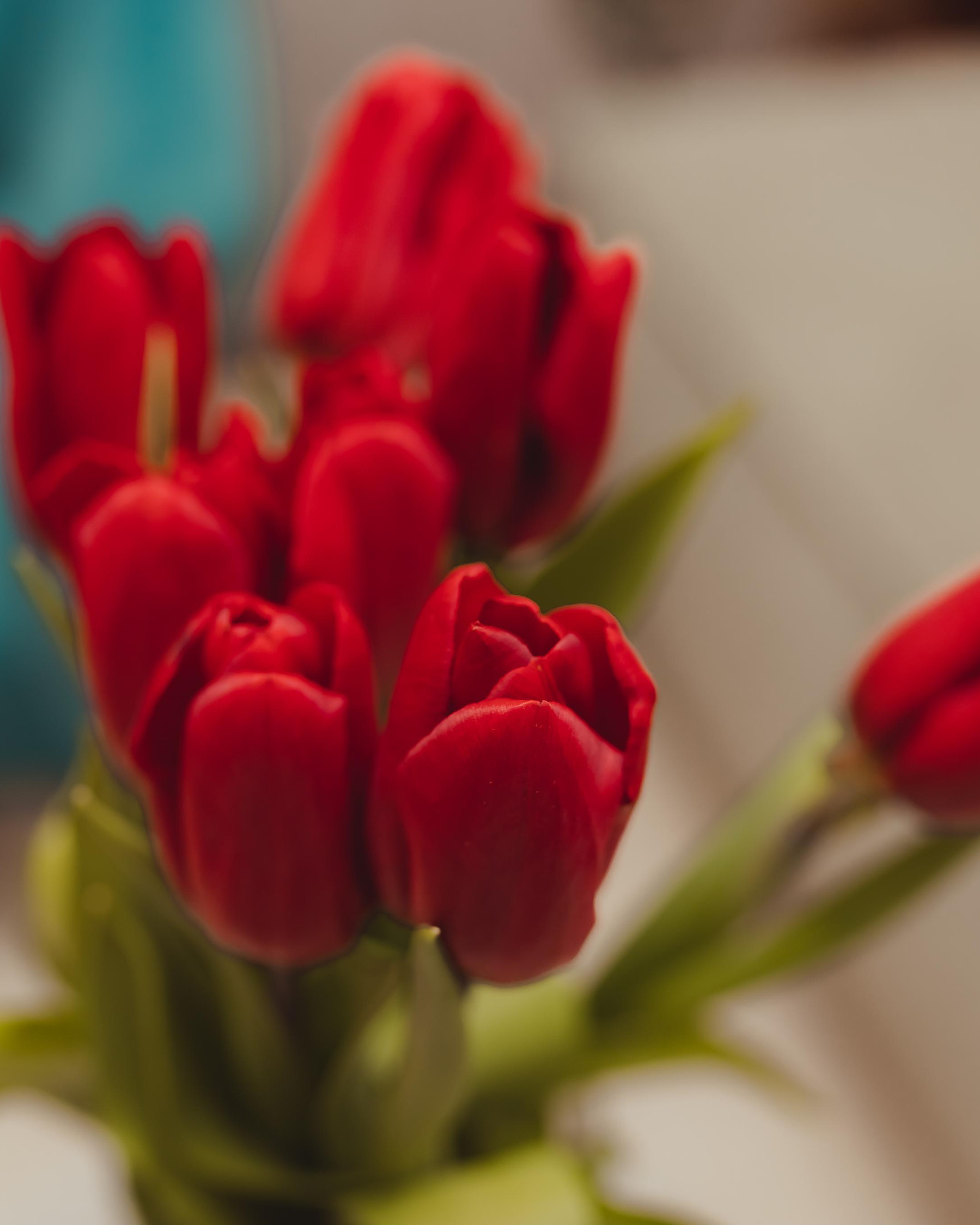 Открытие салона «Три расчески» Мытищи