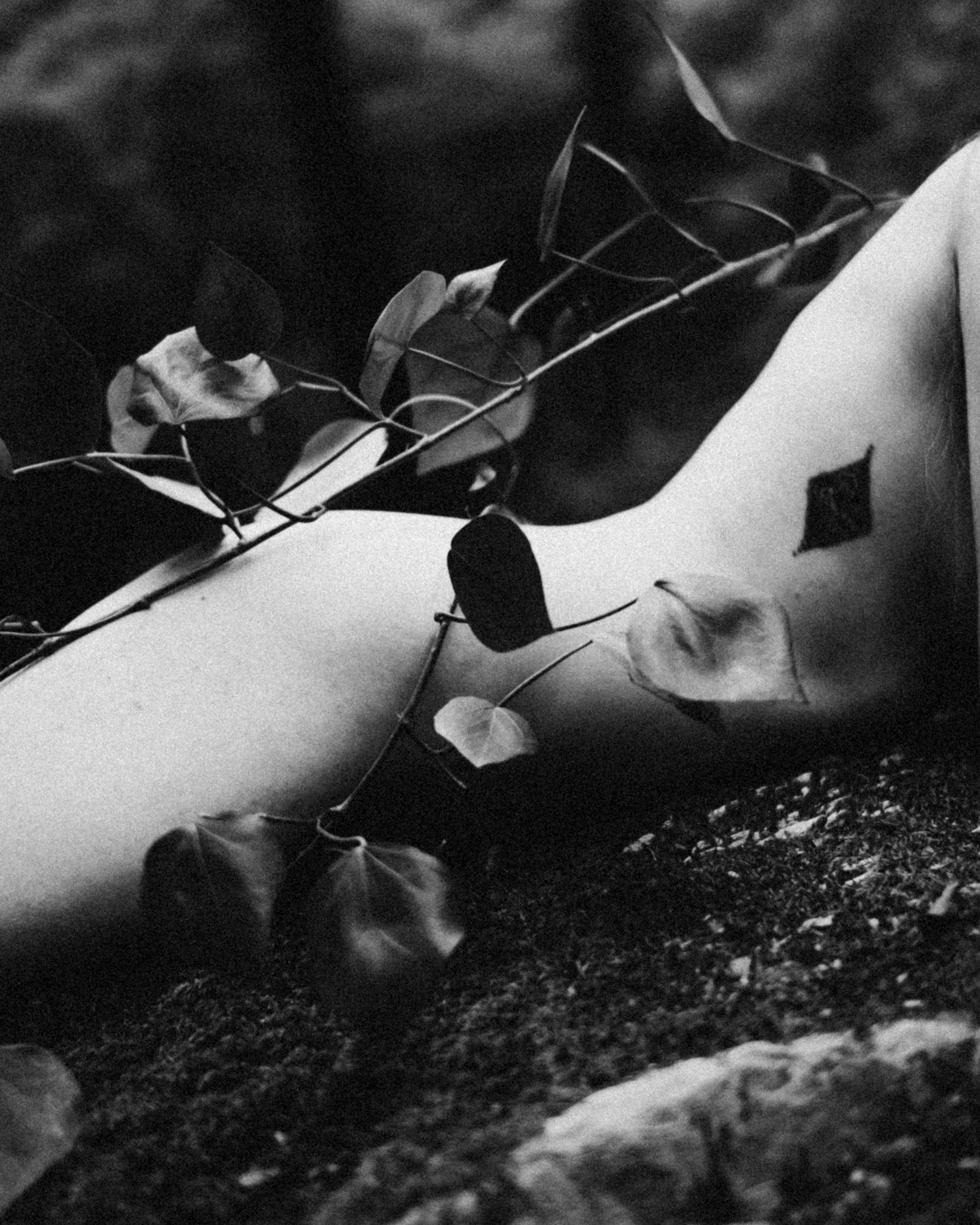 обнаженная фотосъёмка в&nbsp;лесу