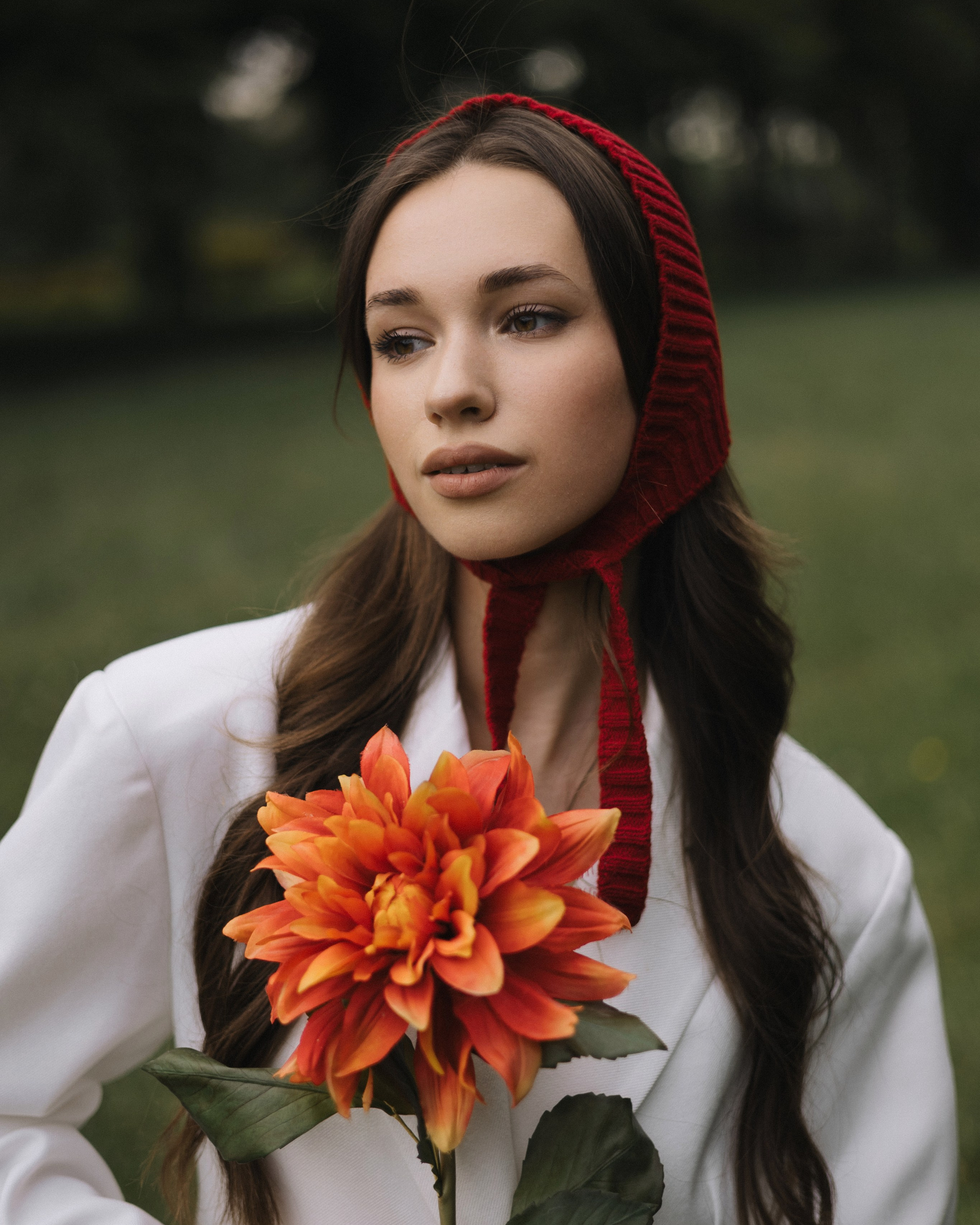 Красная шапочка