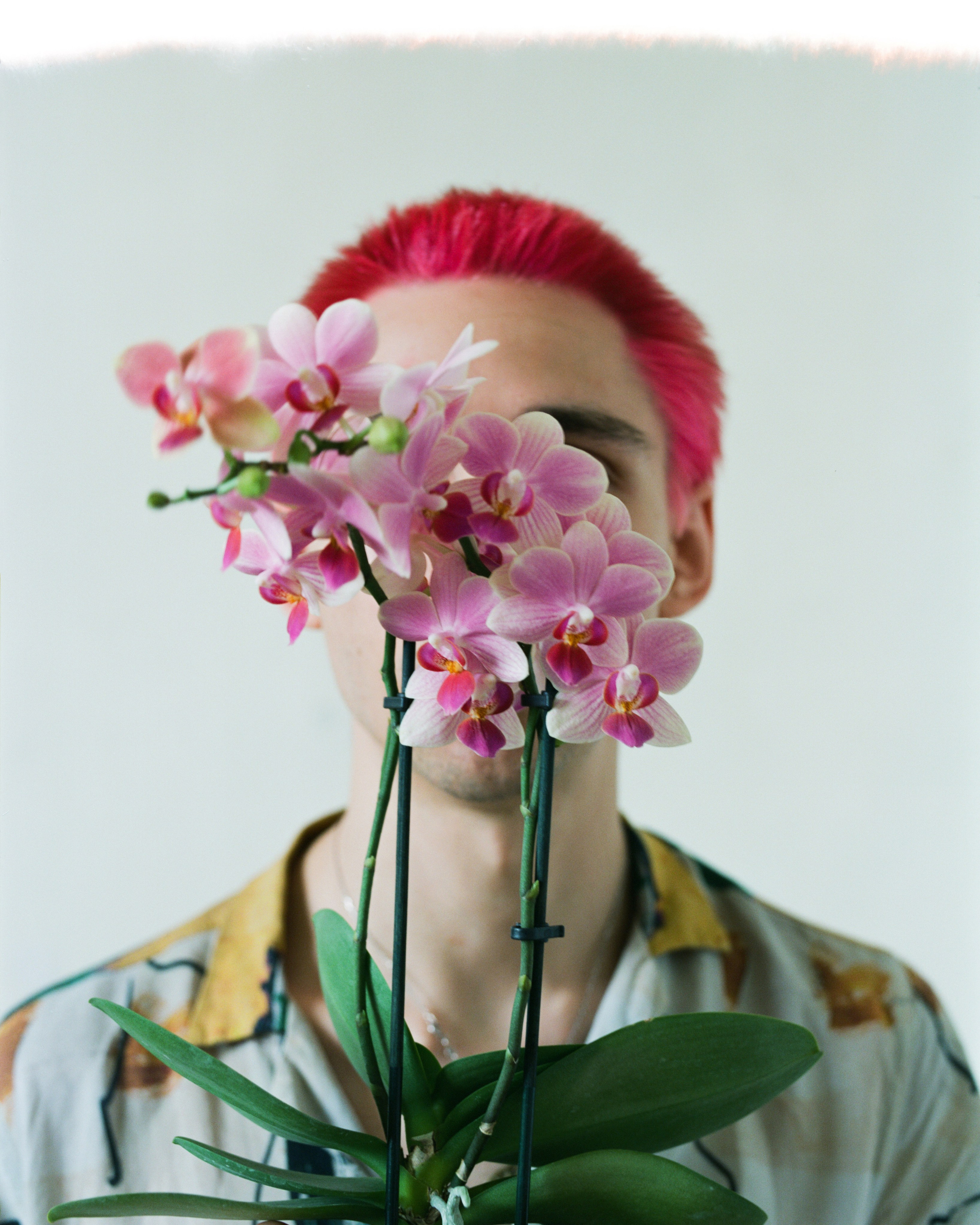 Wonderzine: карантинный фотопроект