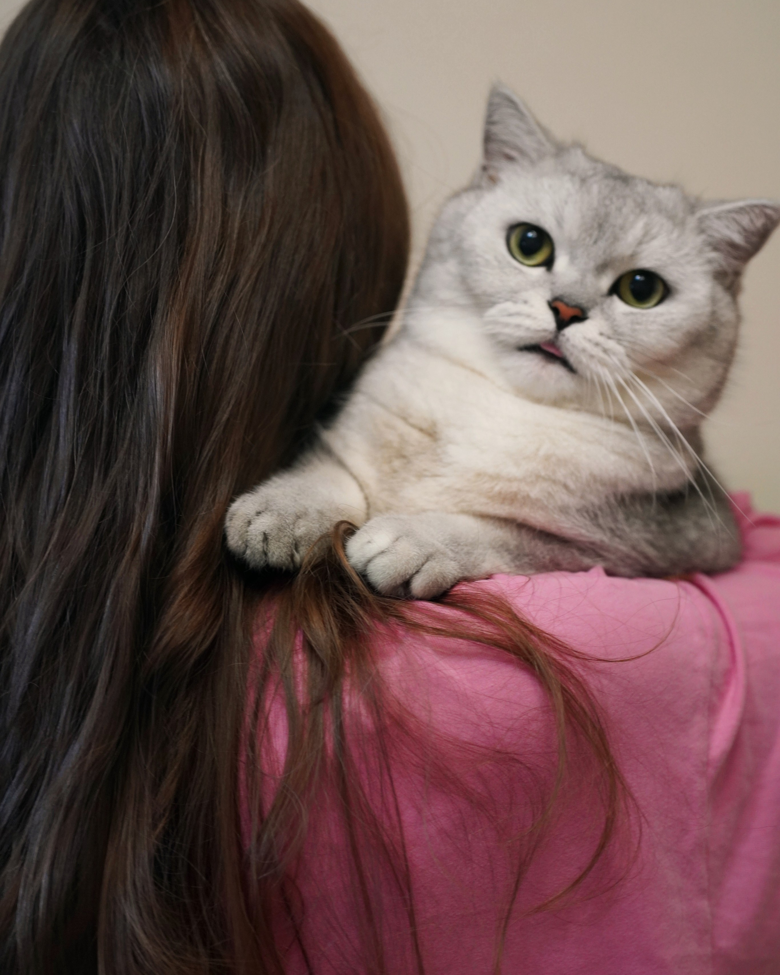 Домашняя серия с&nbsp;котиком