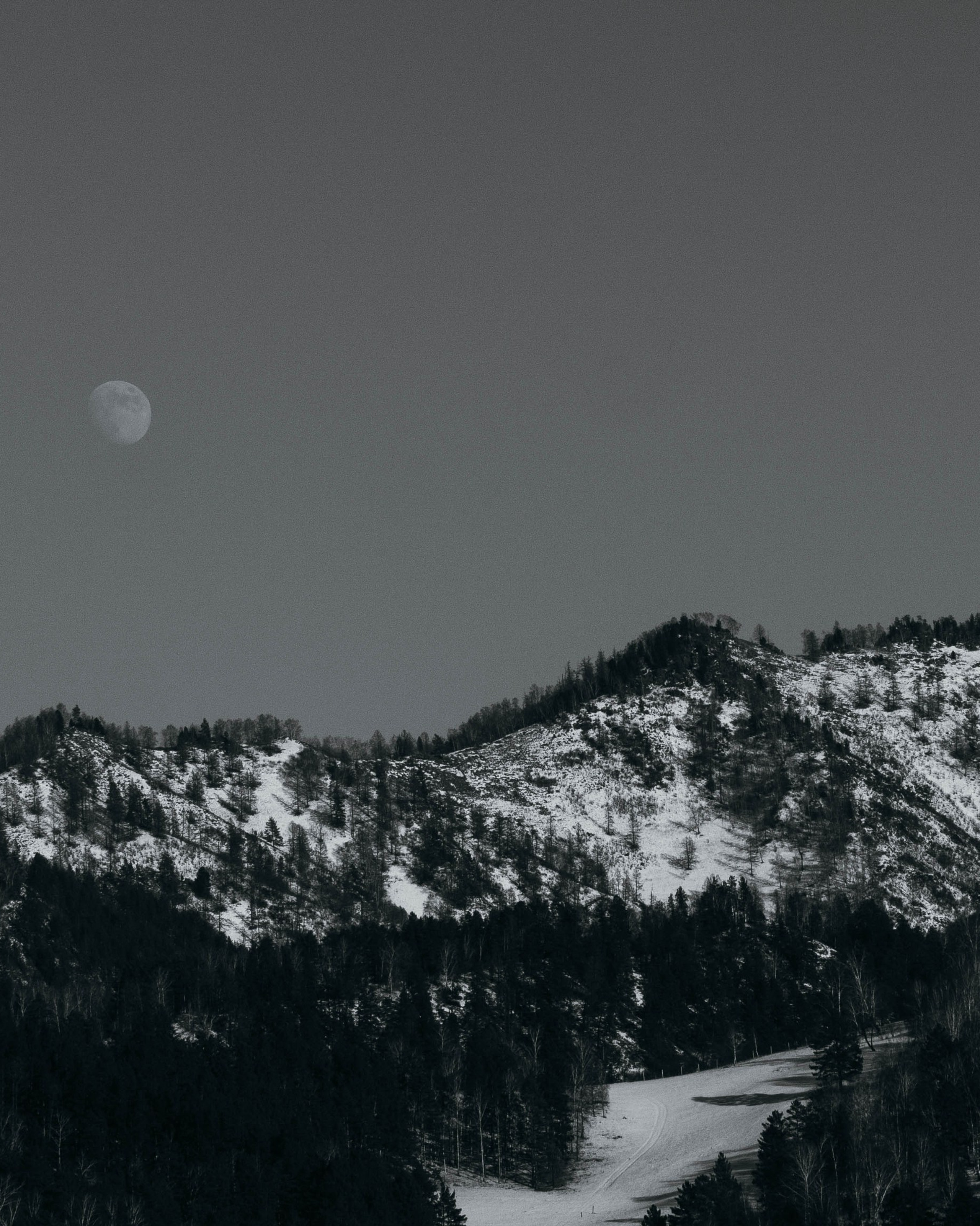 Путешествия