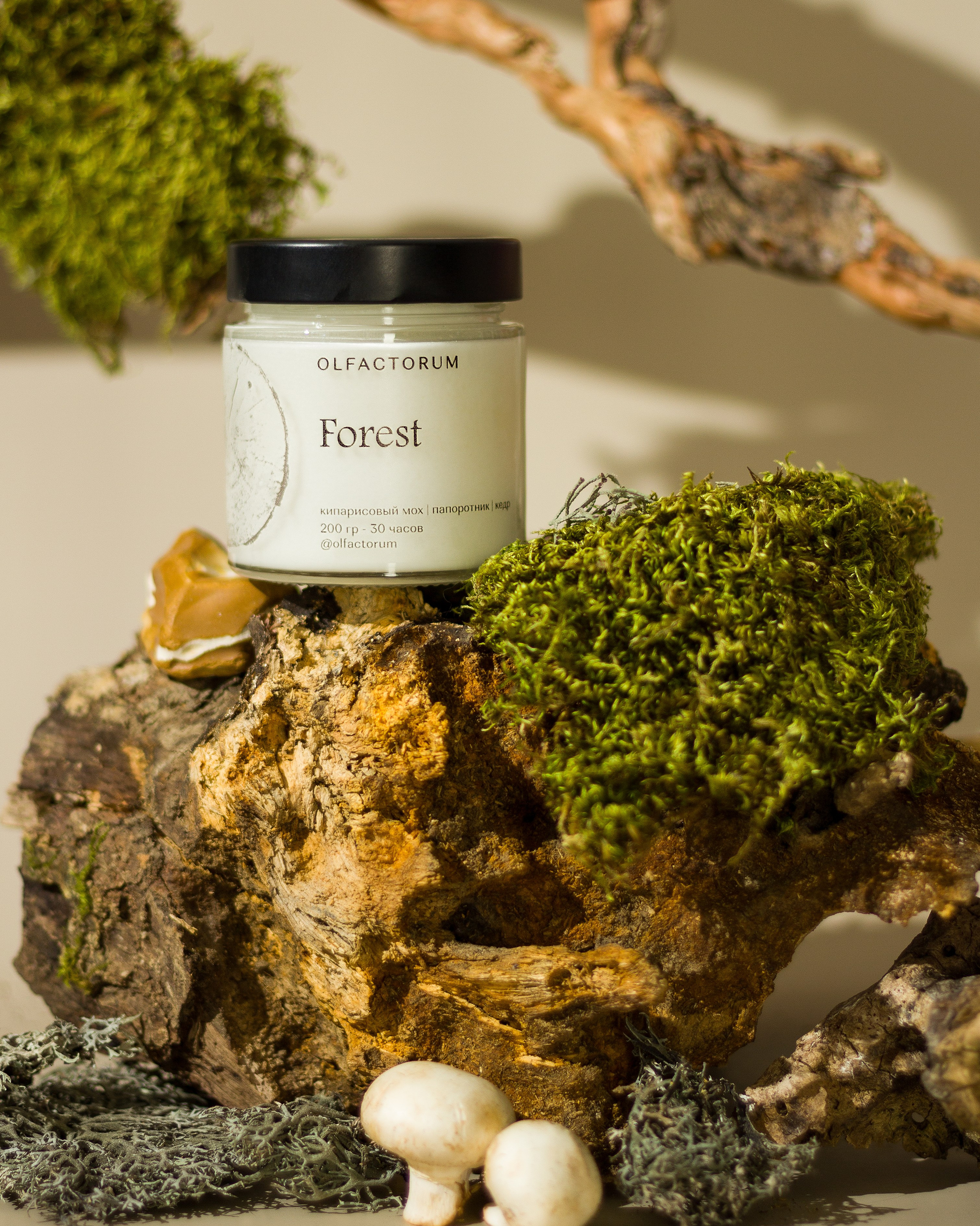 Предметная съёмка (композиция, раскладка)