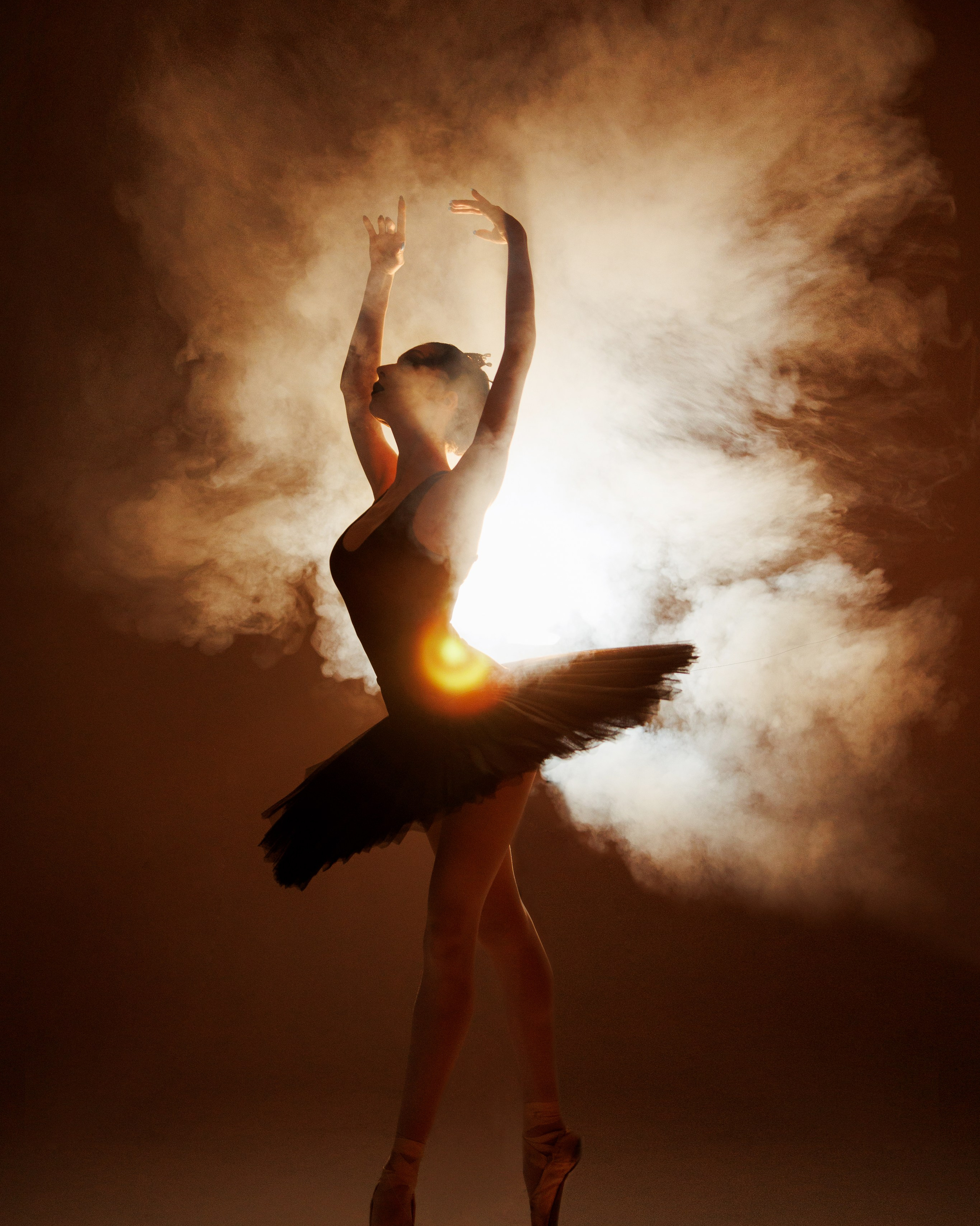 Черный лебедь