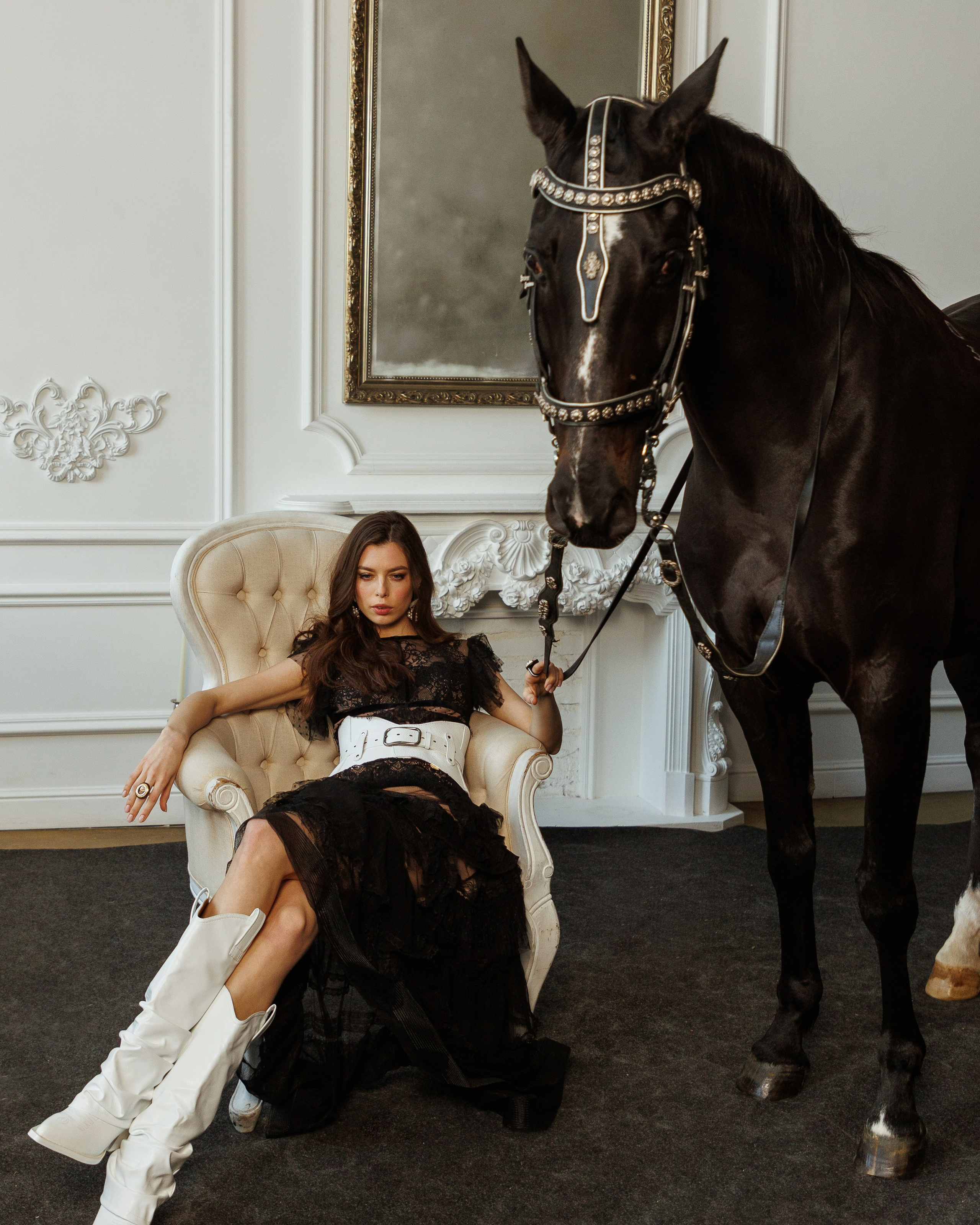 Лошадь в студии