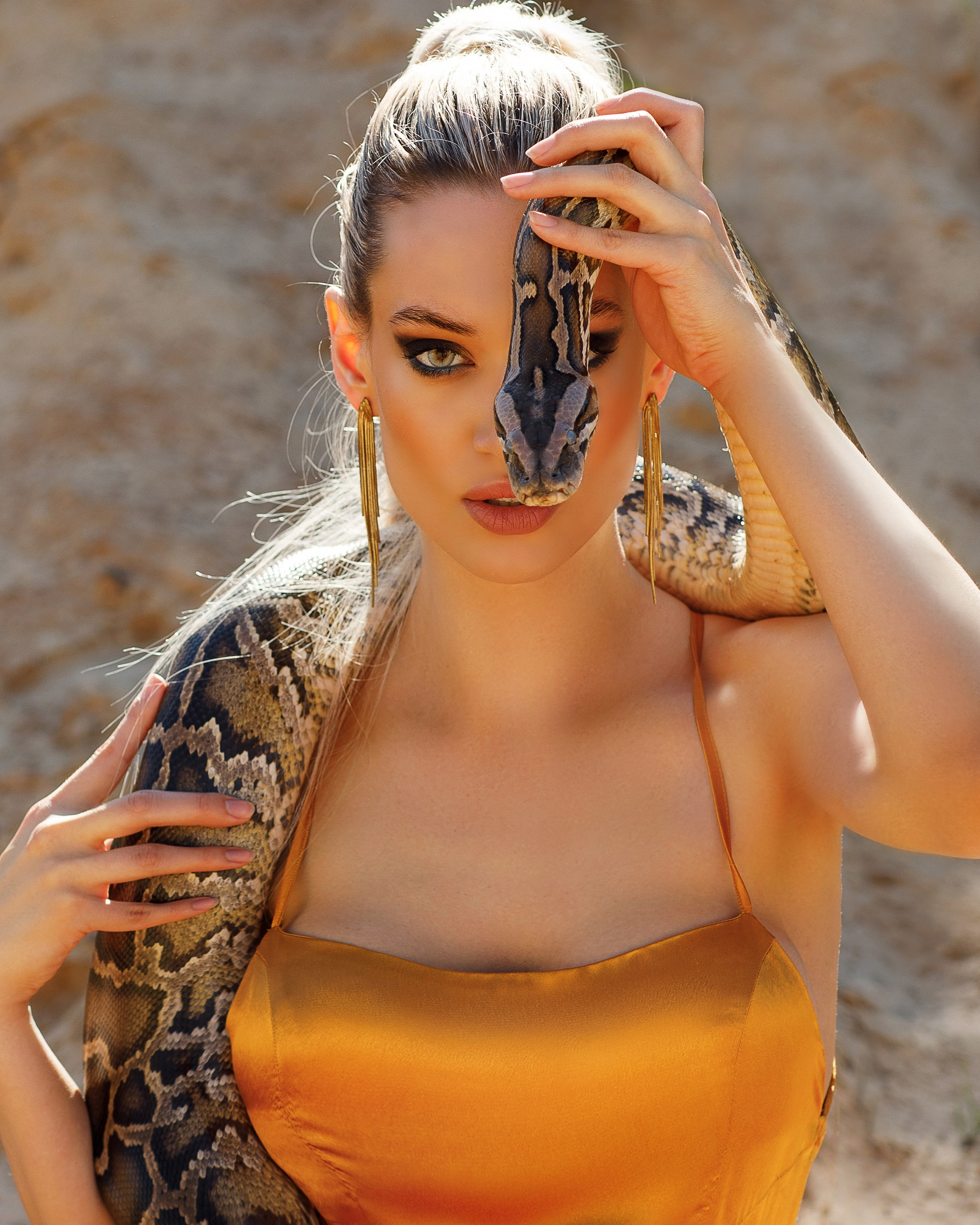 Алиса и зменя