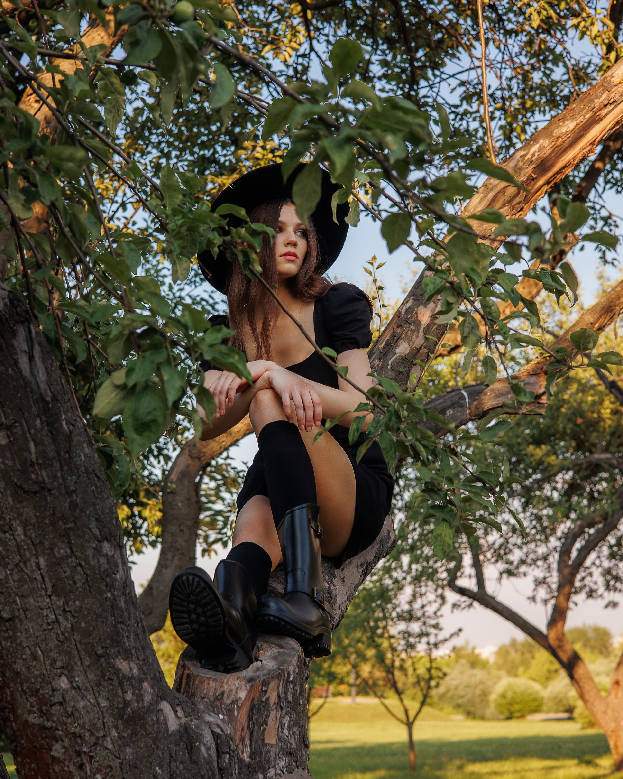 Алина «Коломенское»