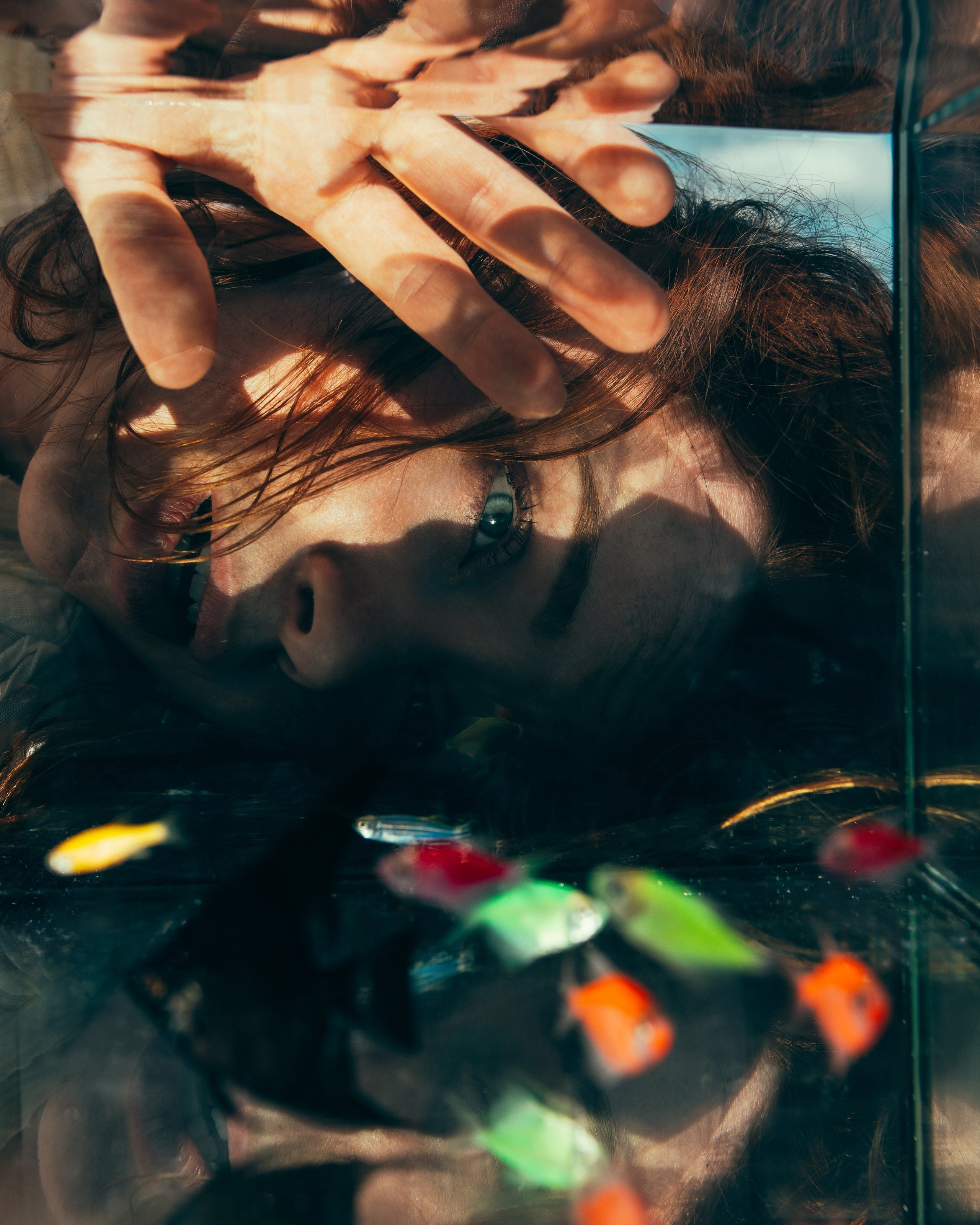 Мир, который я несу