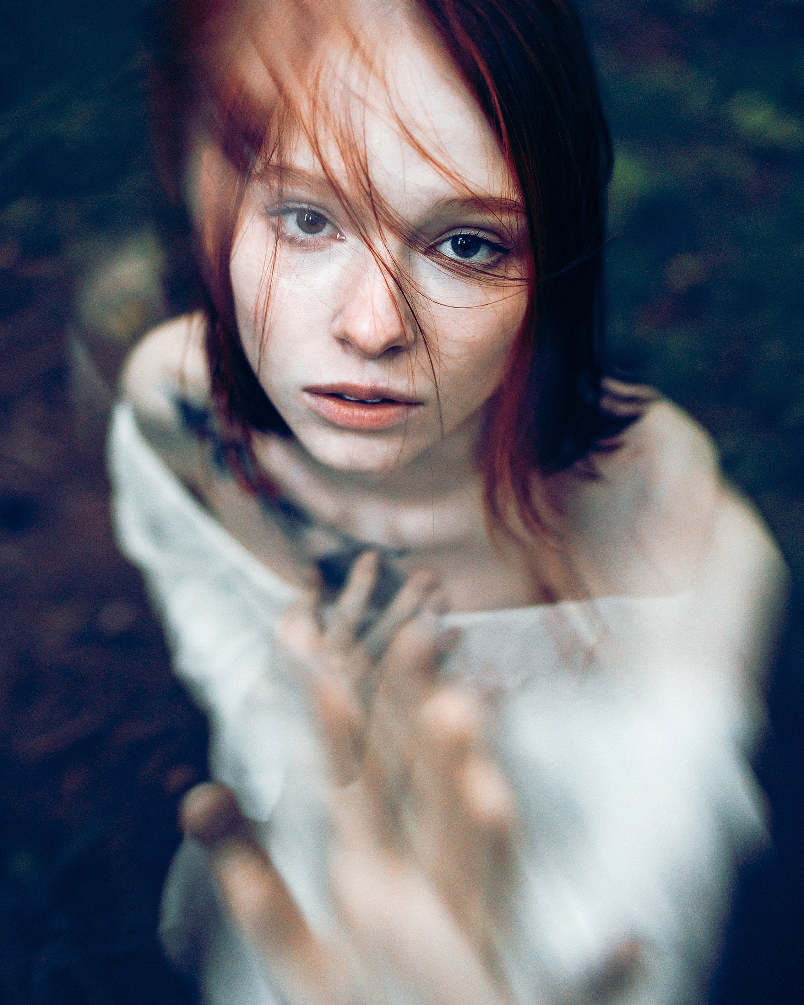 Сквозь листву