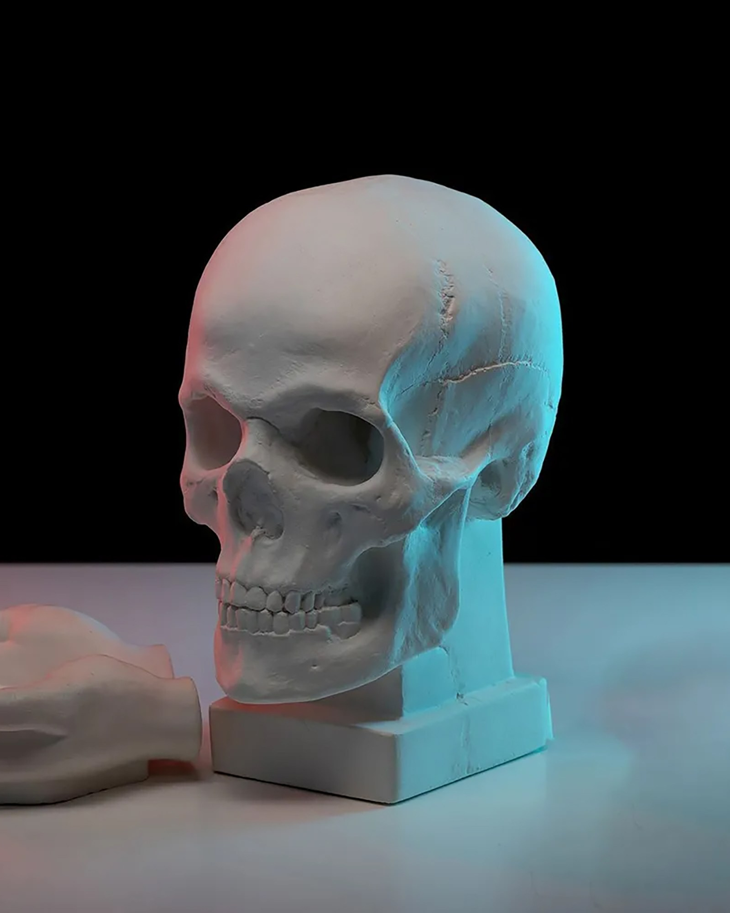 Статуэтка череп из гипса анатомический