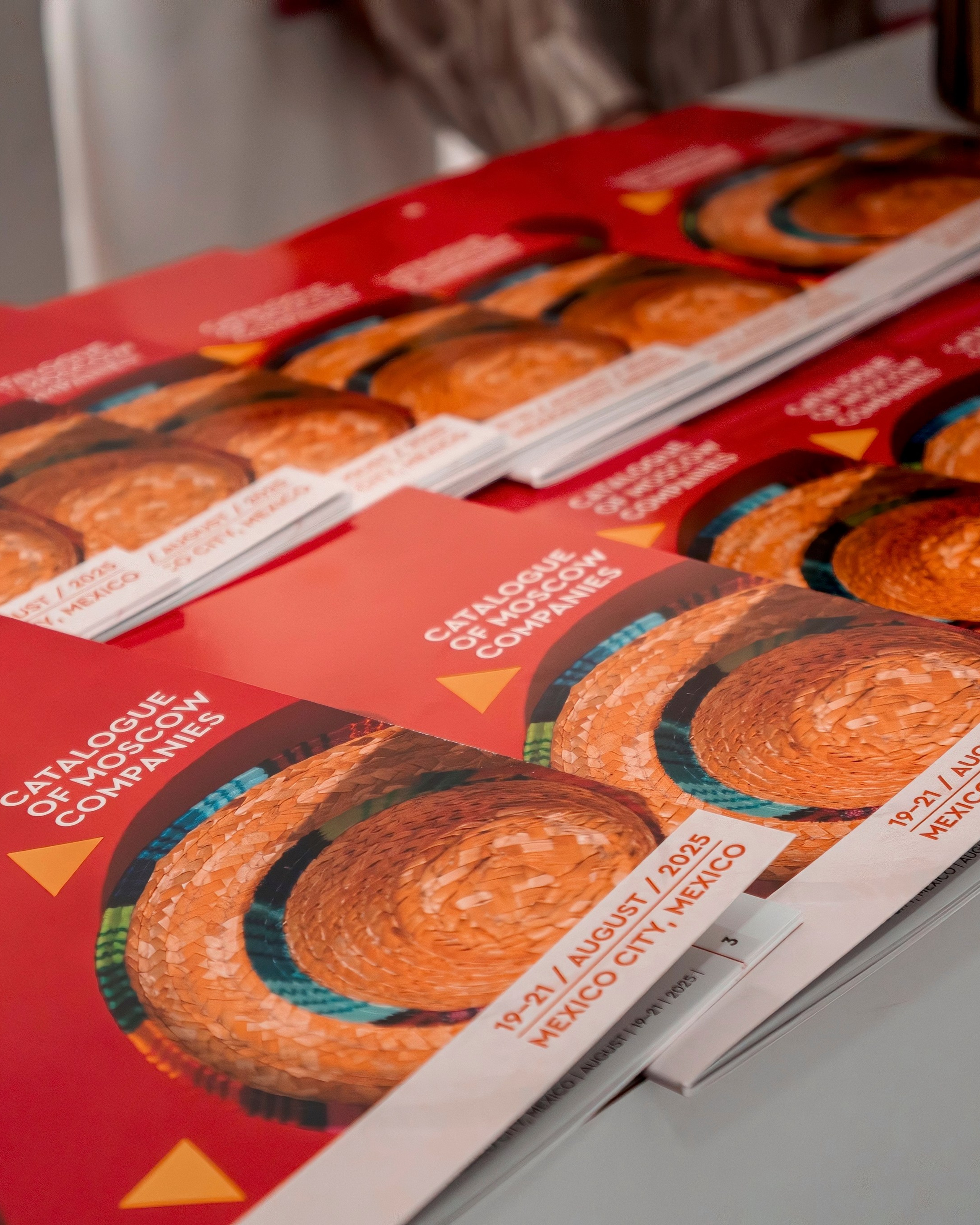 B2B Sessions in CANACINTRA