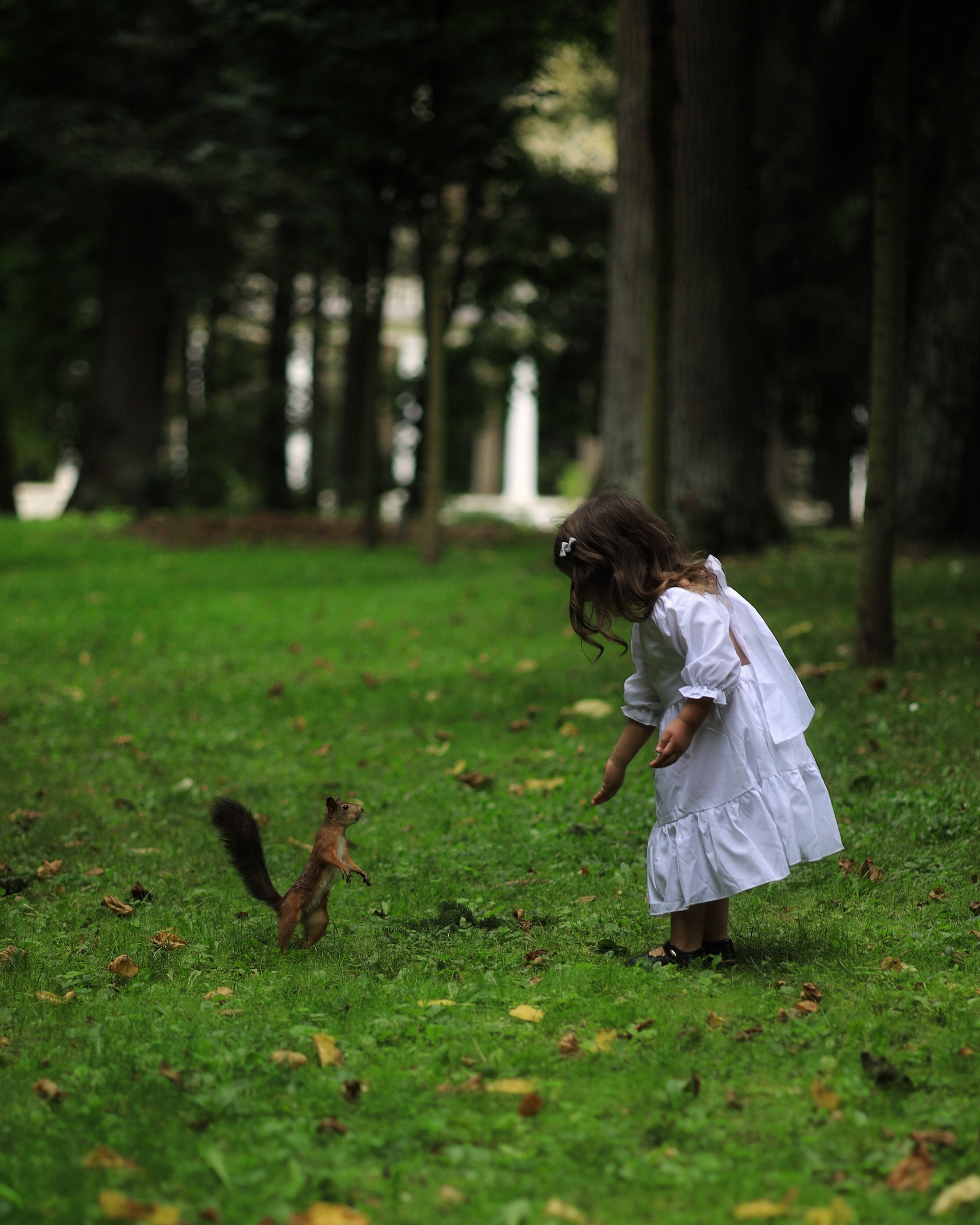 Принцесса Мими