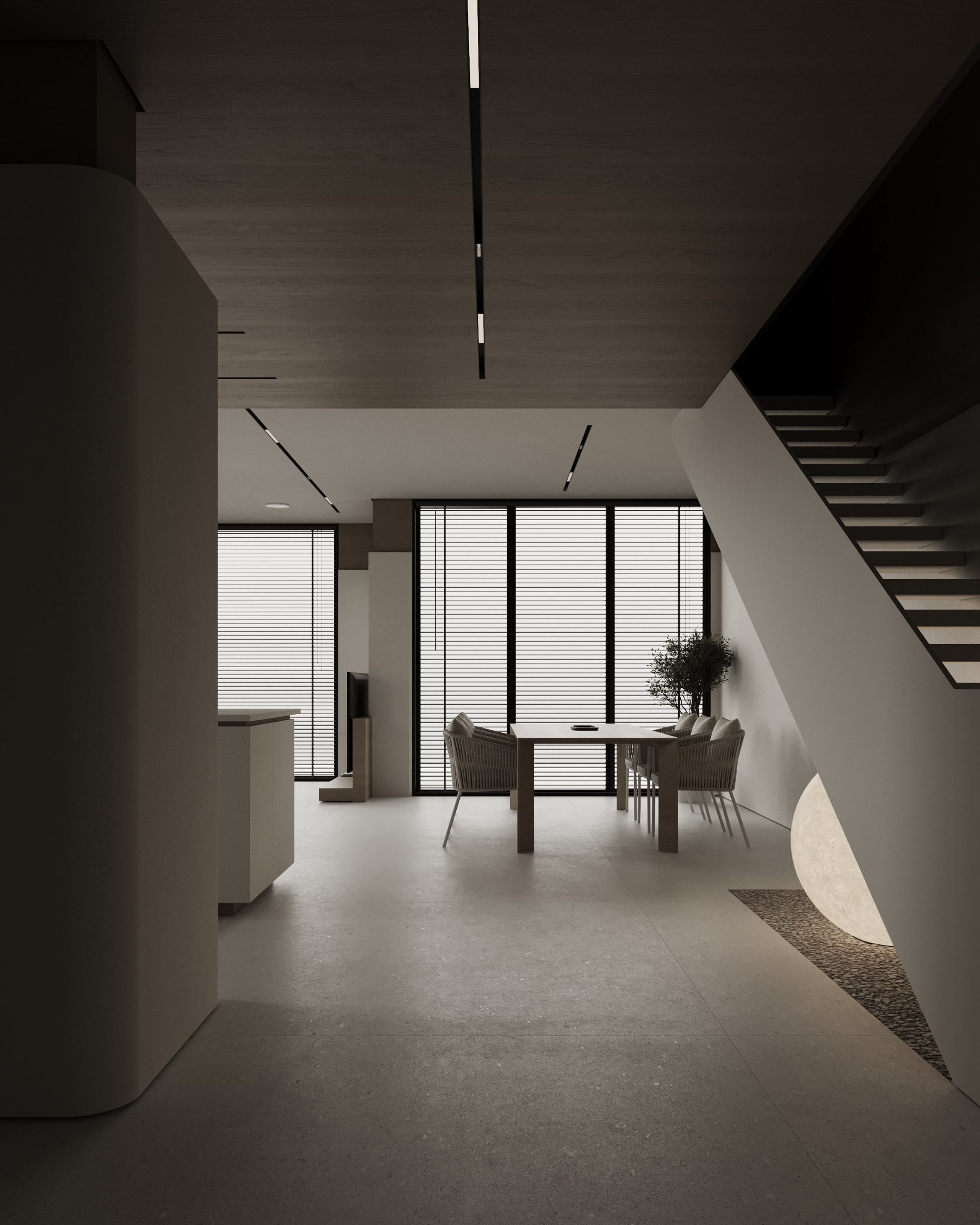 Living room and kitchen