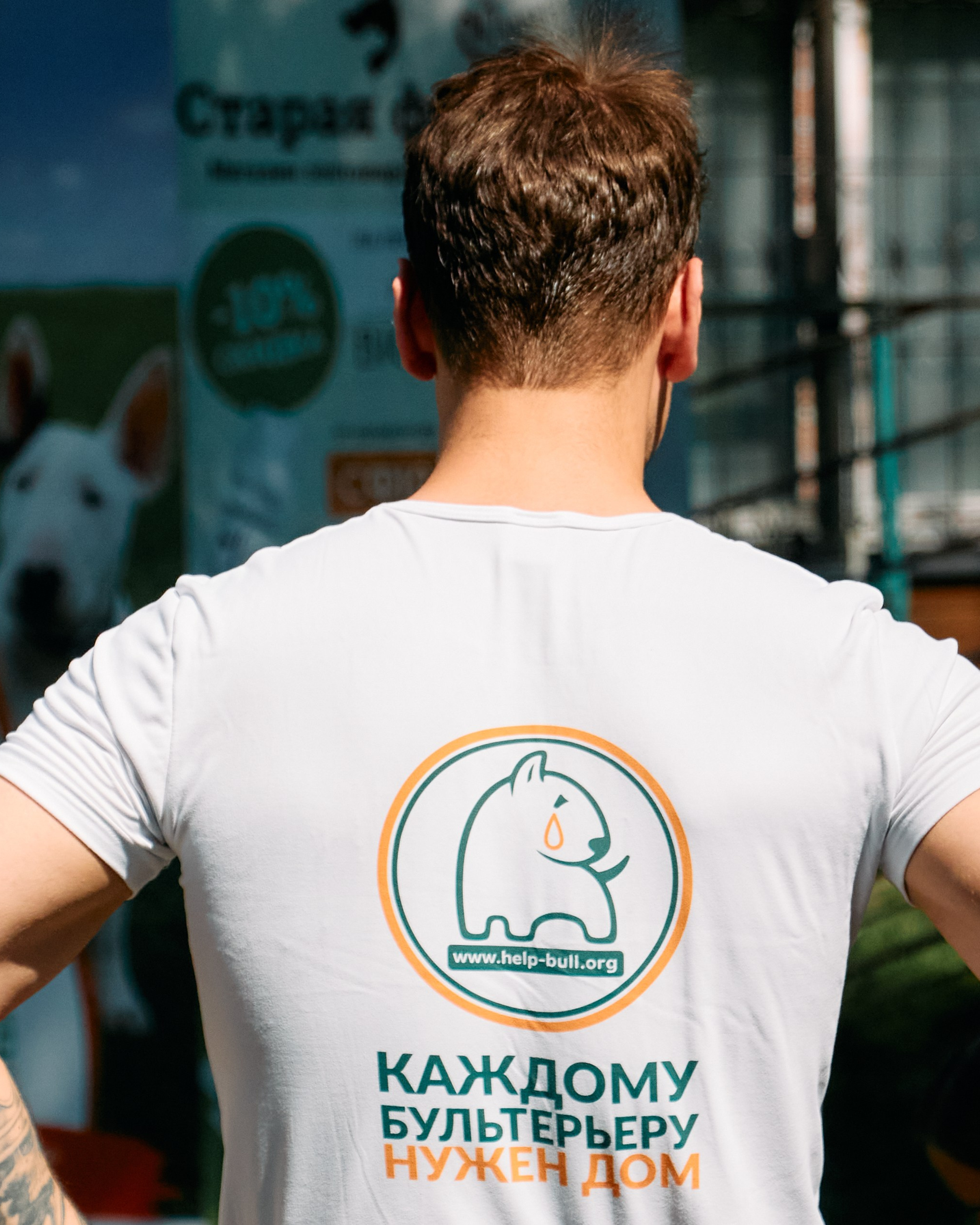 Бульфест