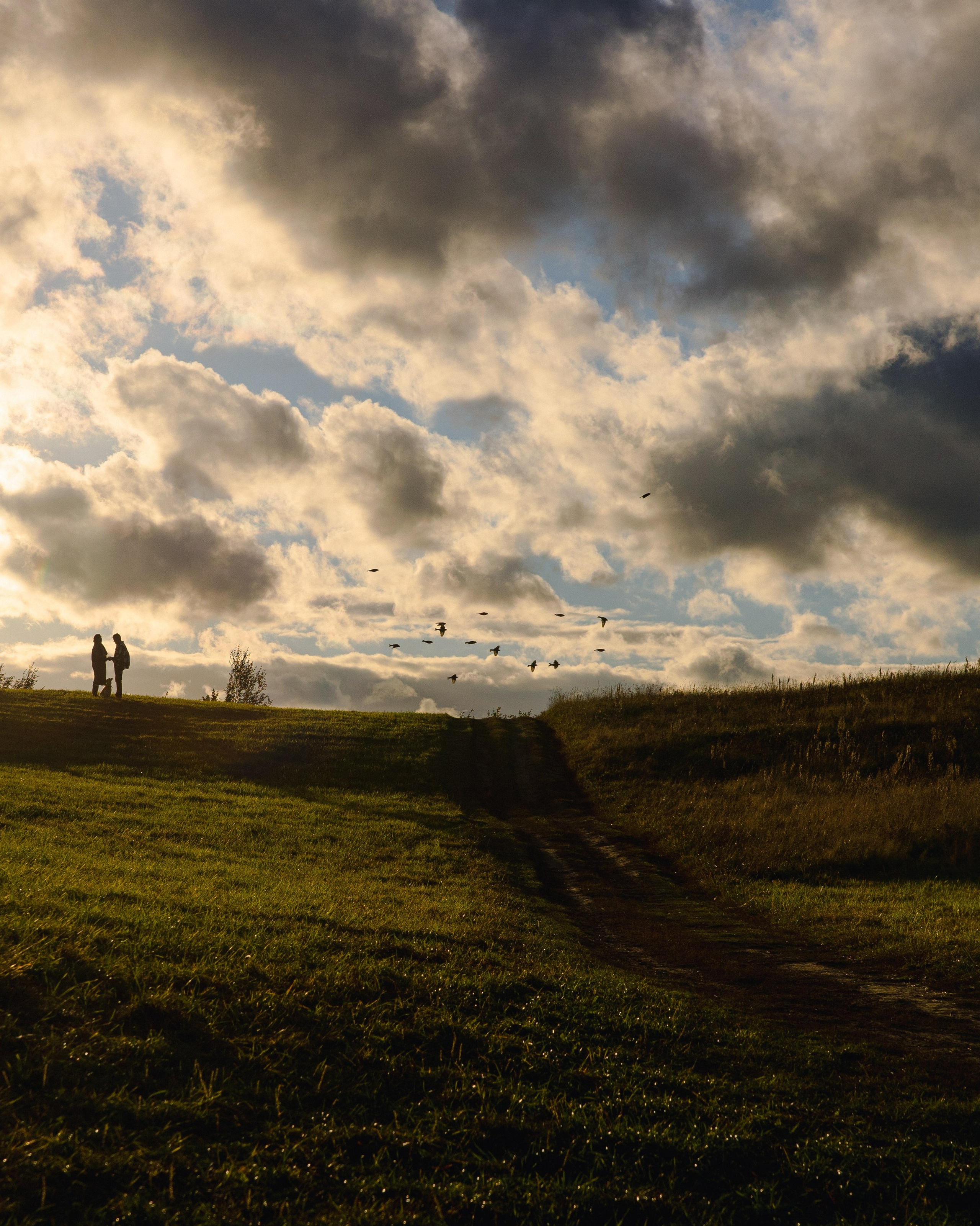 Трое, считая собаку