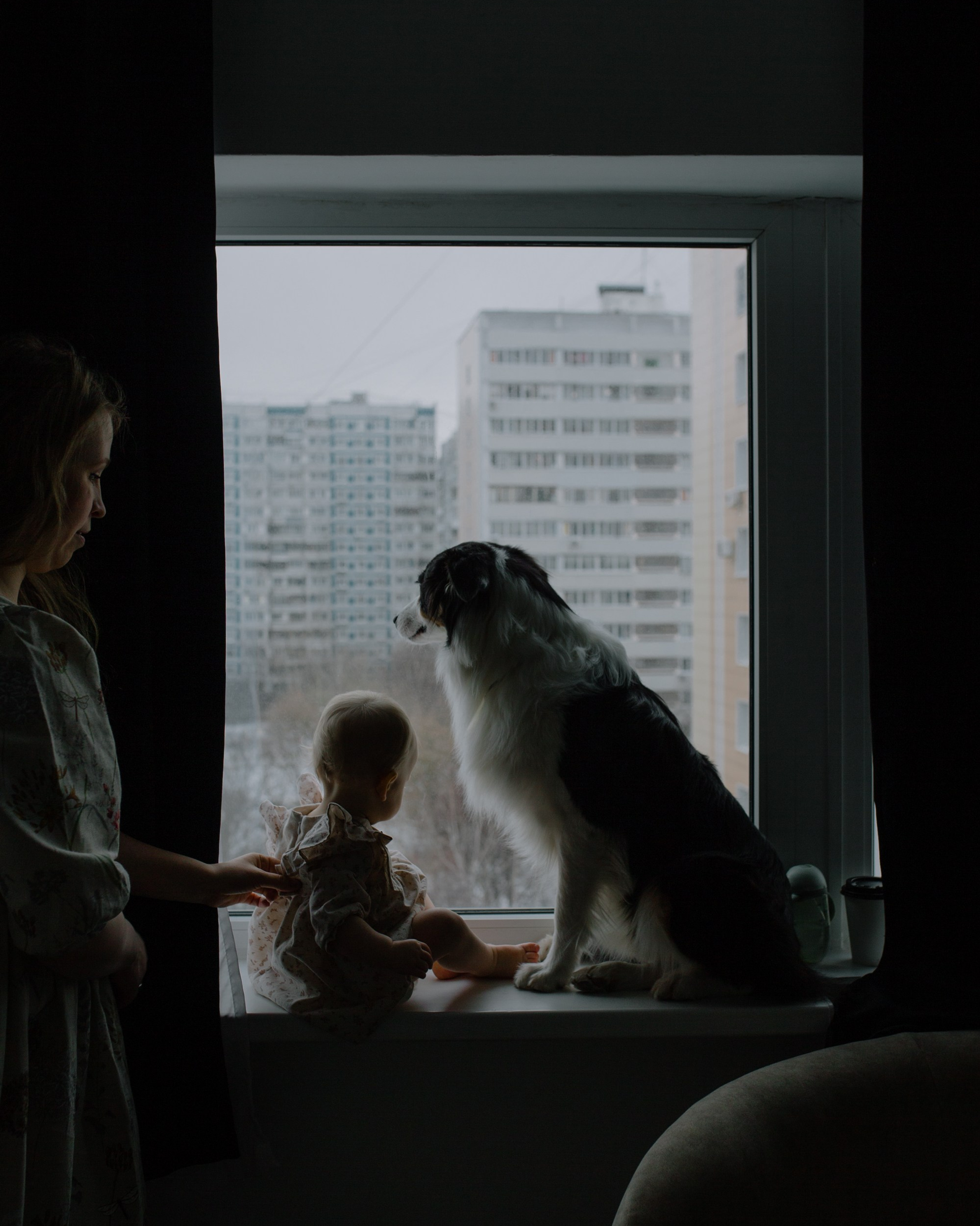 Трое в лодке не считая собаки