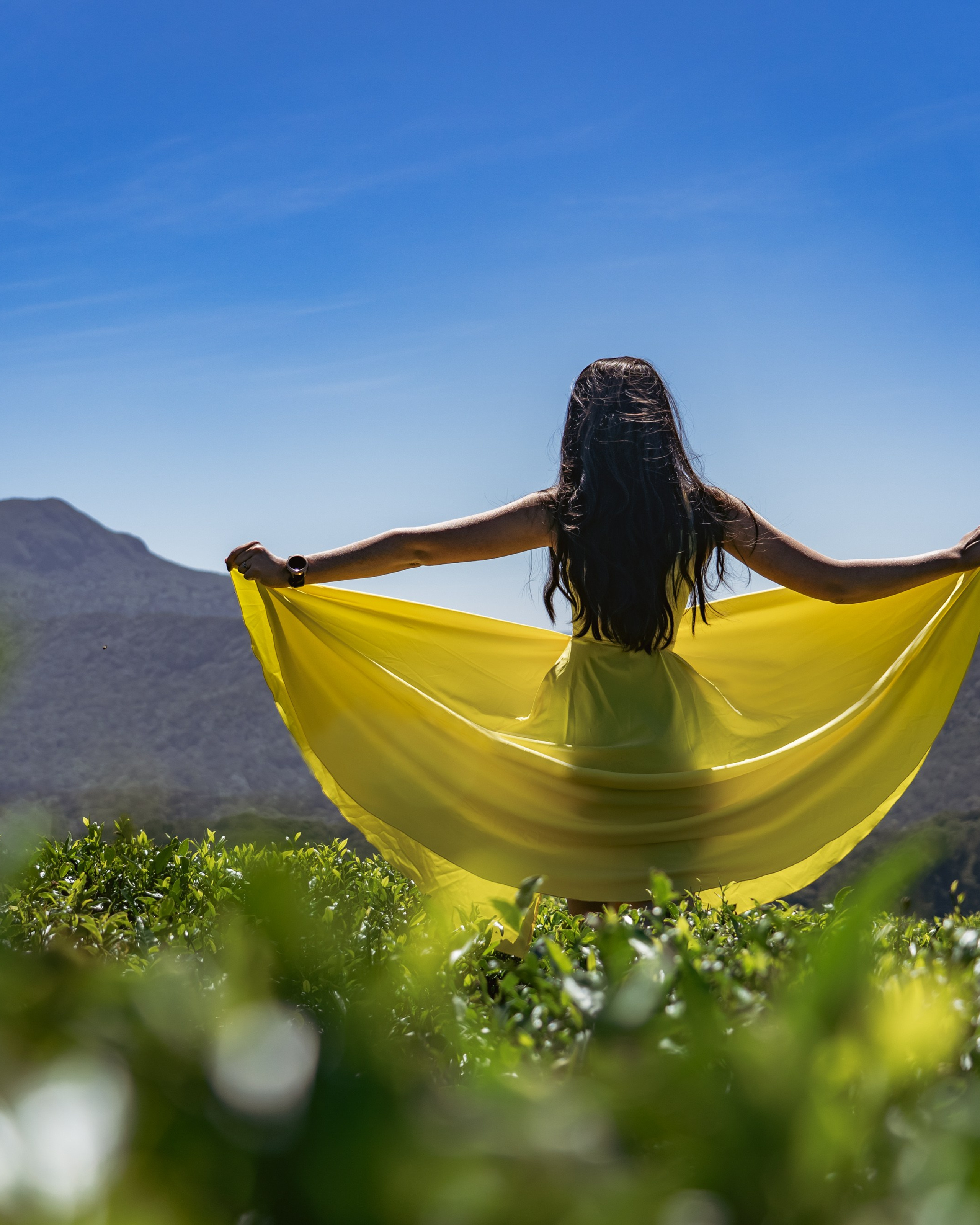 Promo content shooting for Ceylon Forward Tours