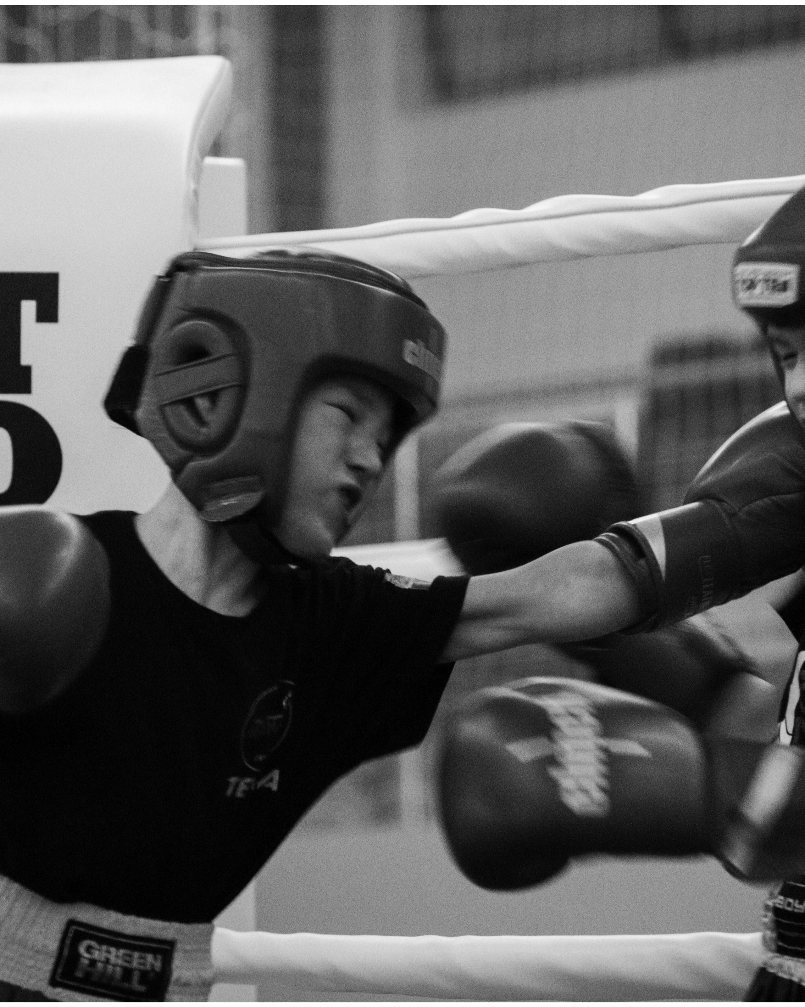 Туртир по&nbsp;кикбоксингу