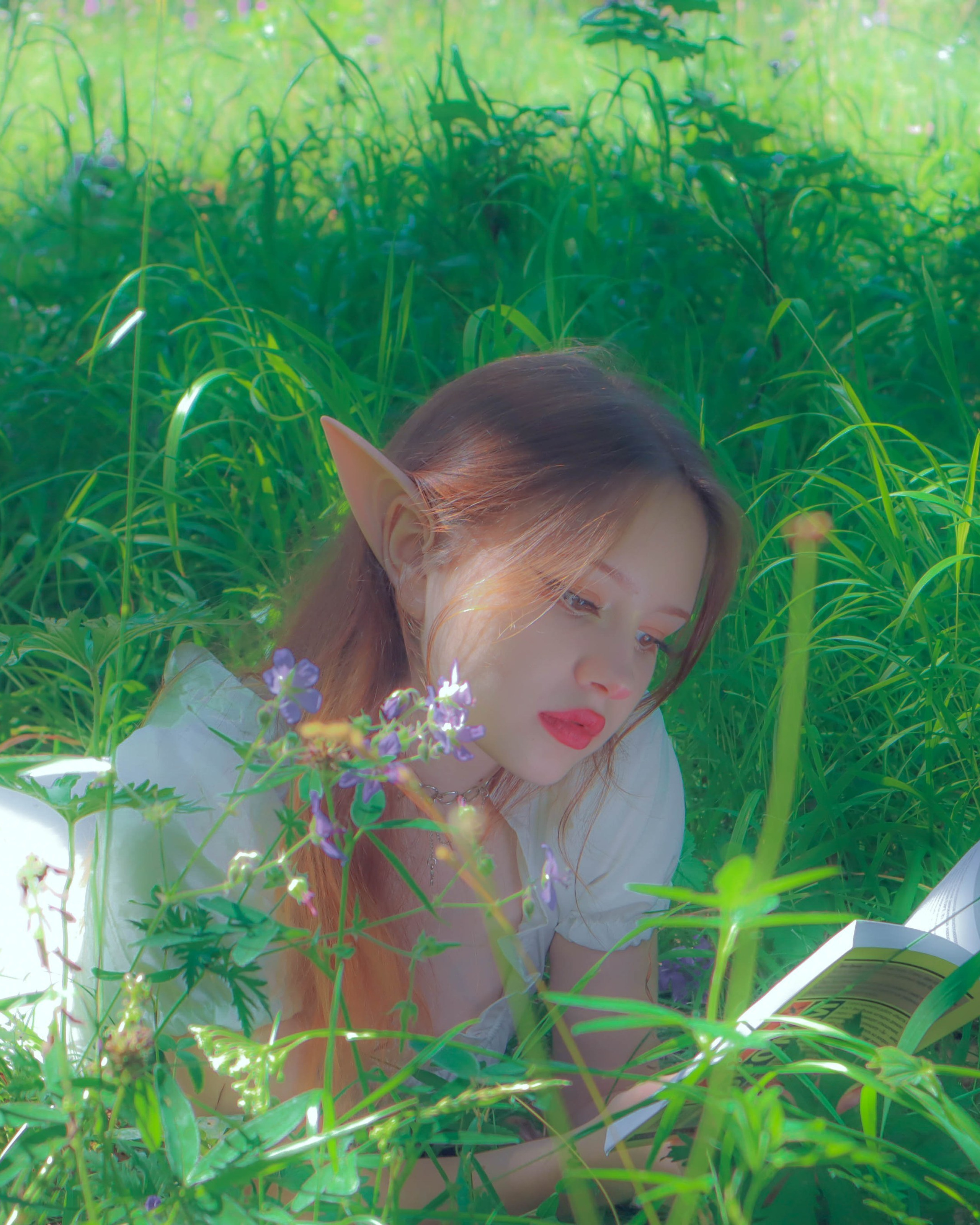 Алиса в стране чудес