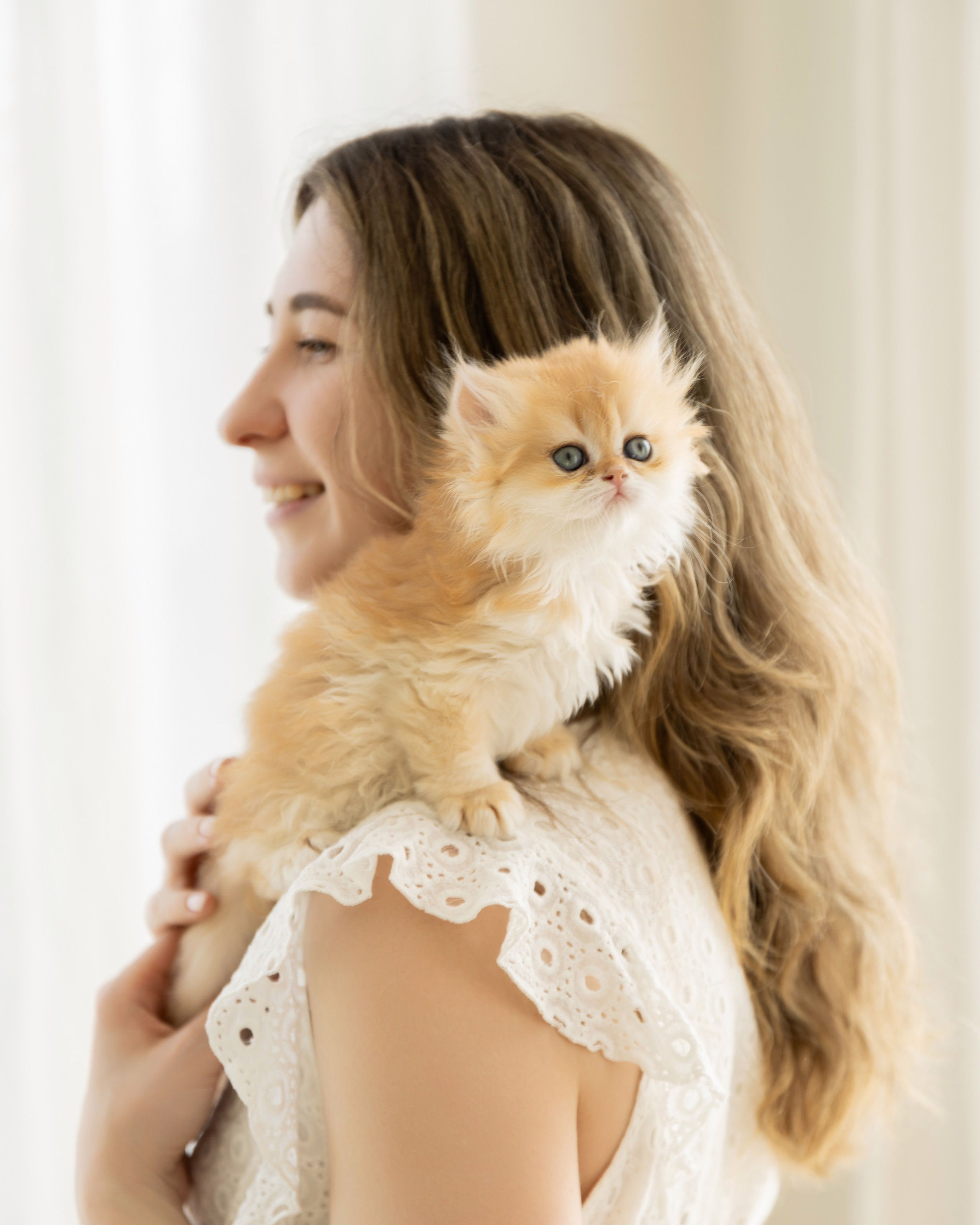 Семейная фотосессия с котятами