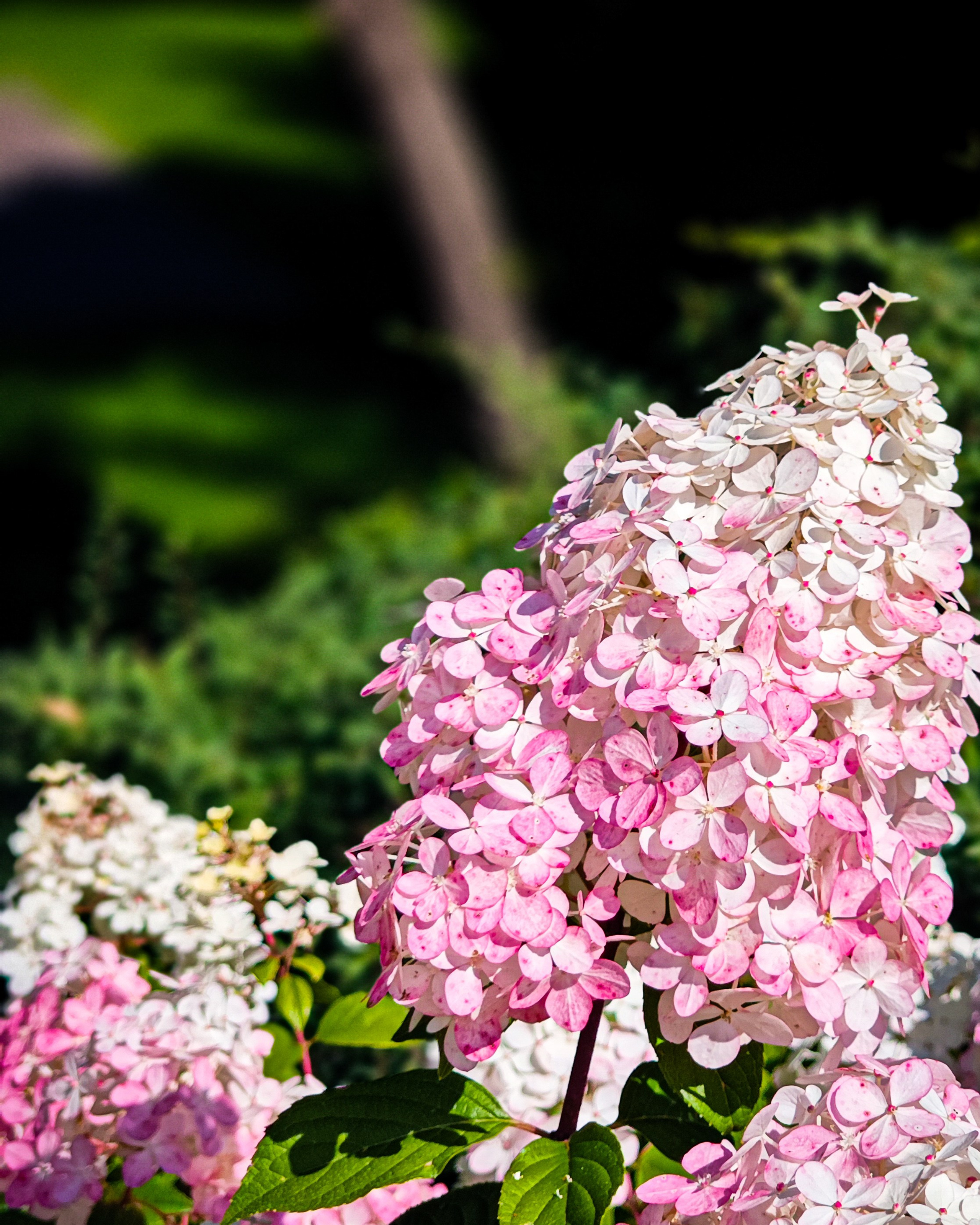 Больничный дворик