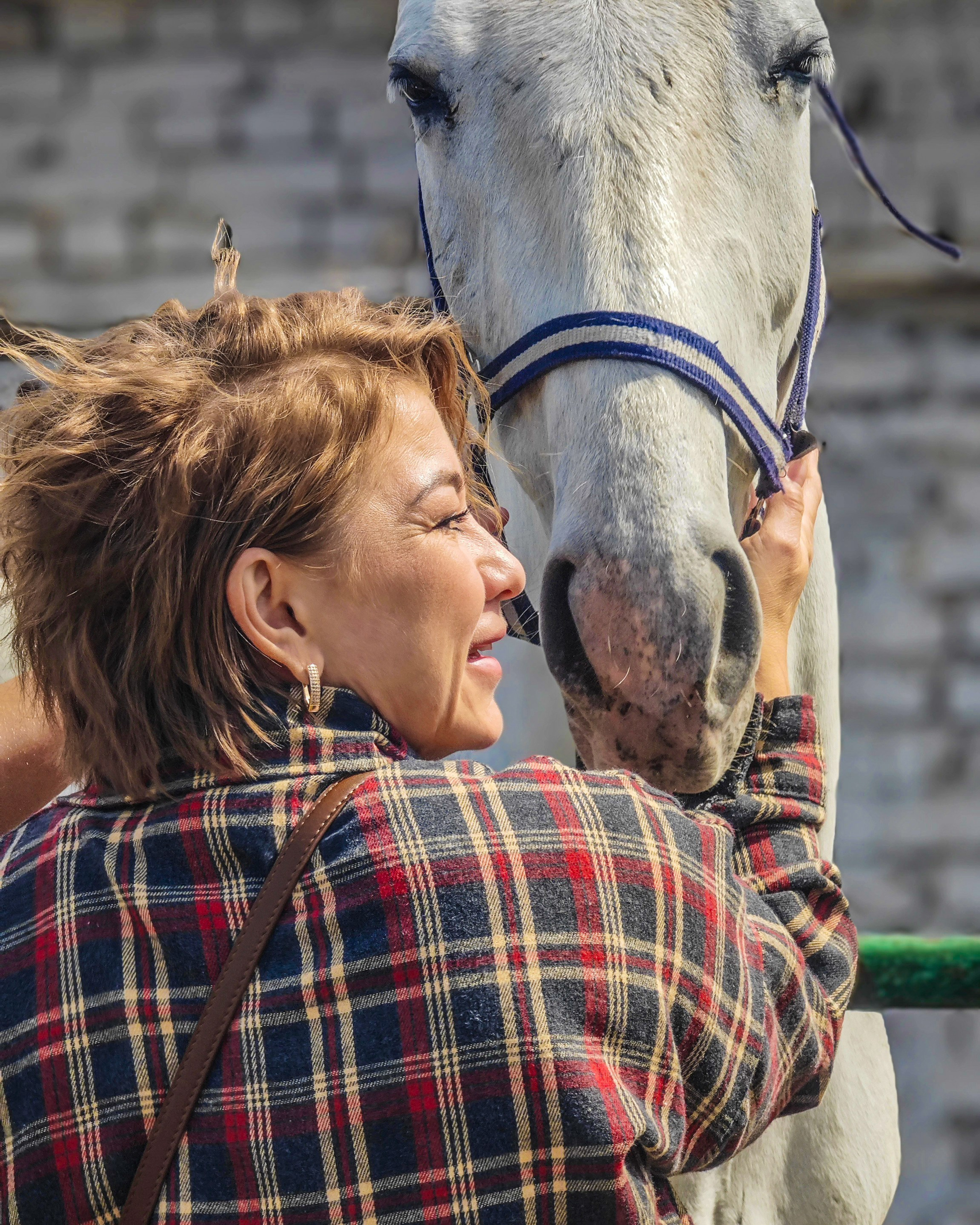 Красноярский ипподром. Открытие сезона 2025