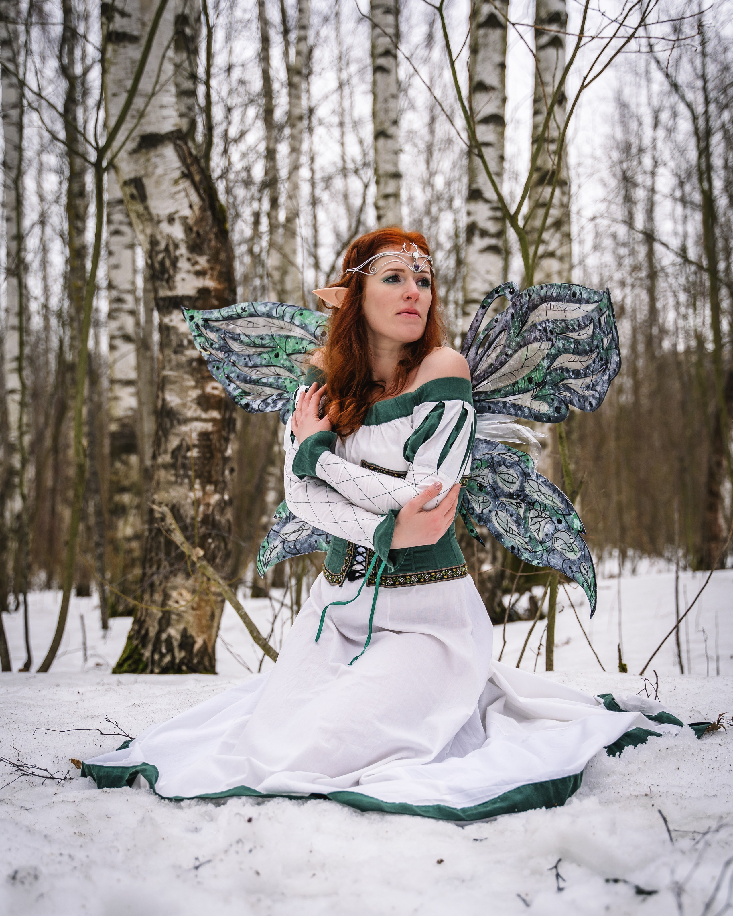 В зимнем сказочном лесу