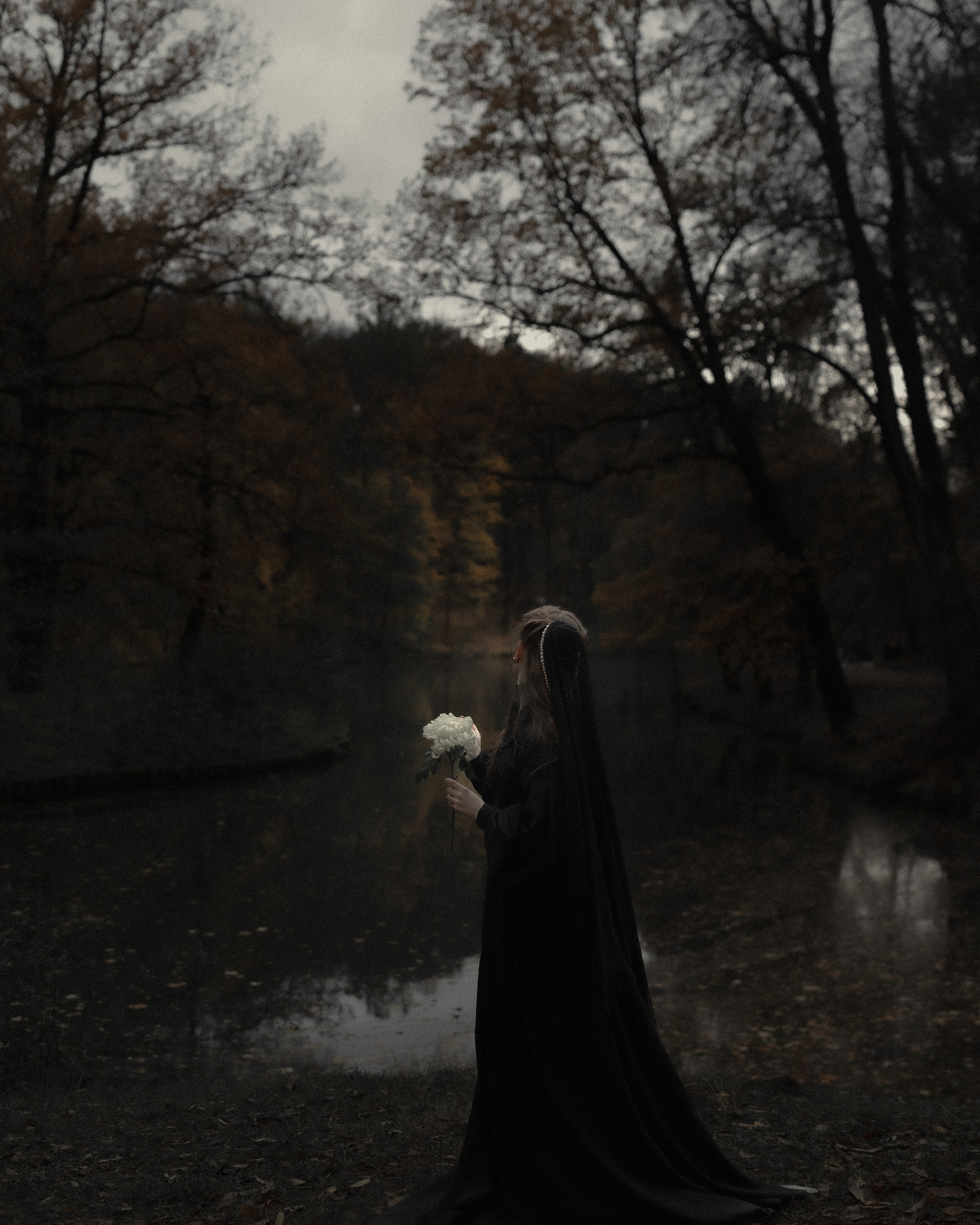 «Дама с&nbsp;вуалью»